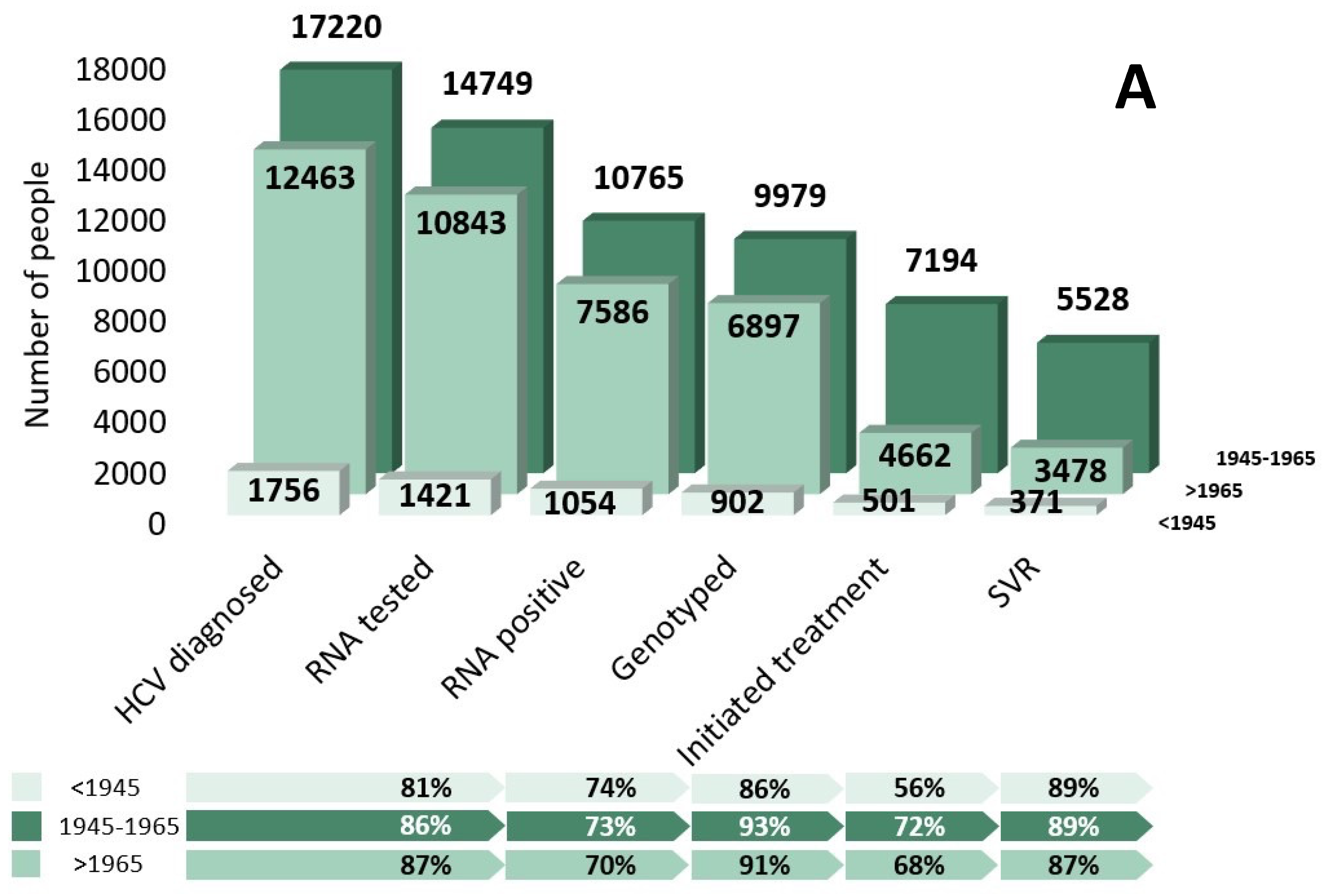 Viruses 16 00389 g002a