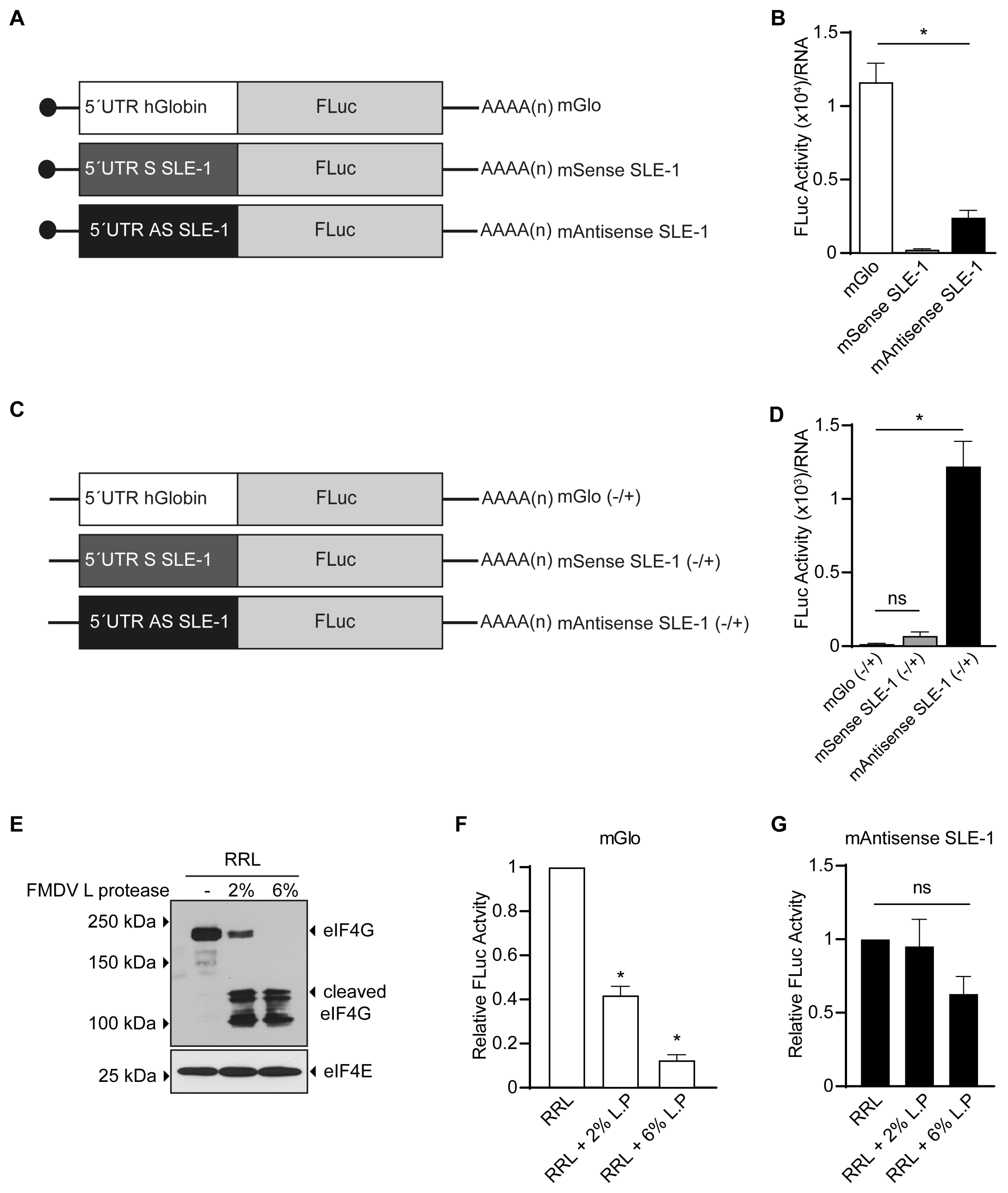 Viruses 16 00403 g003