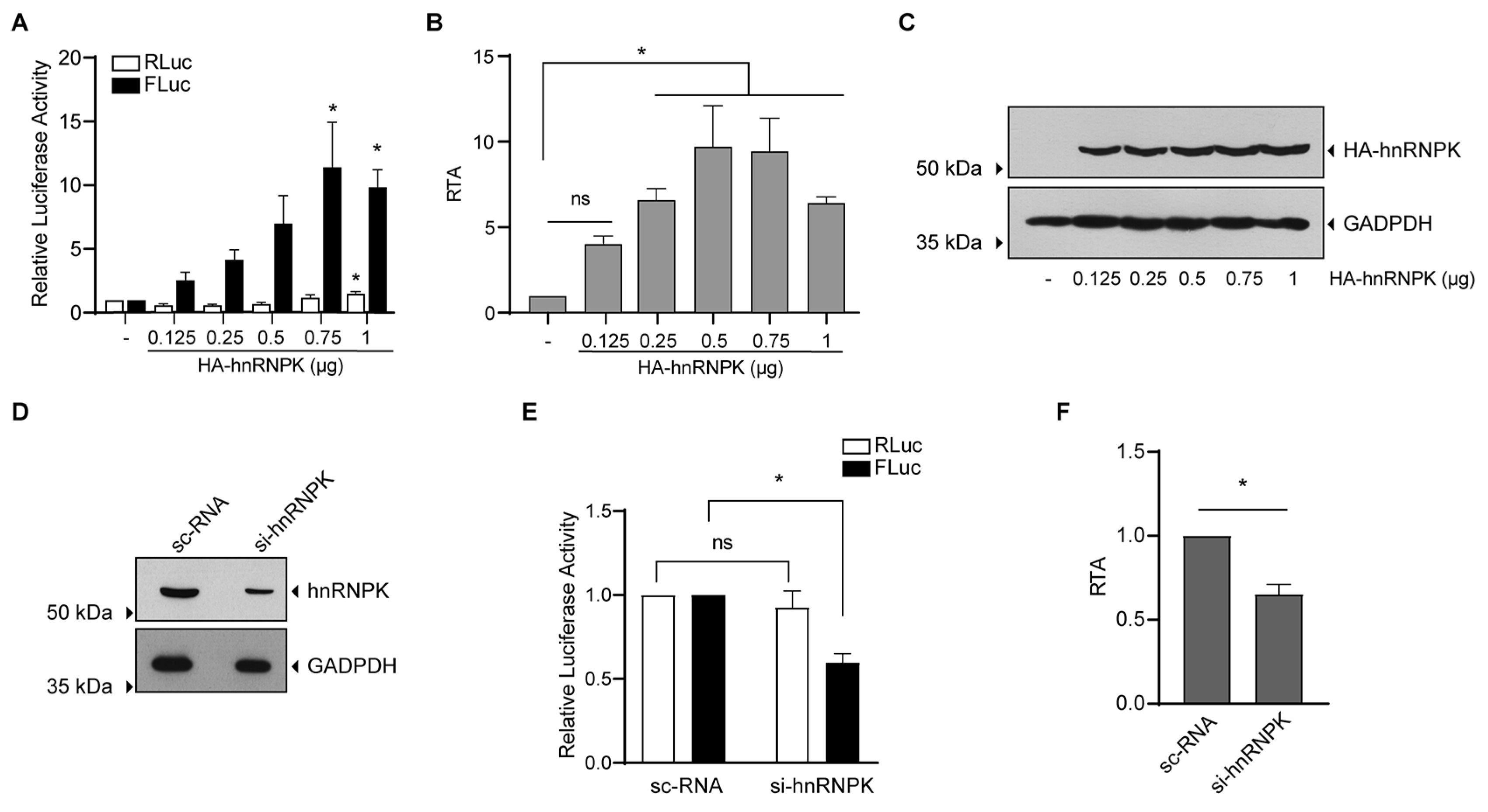 Viruses 16 00403 g008