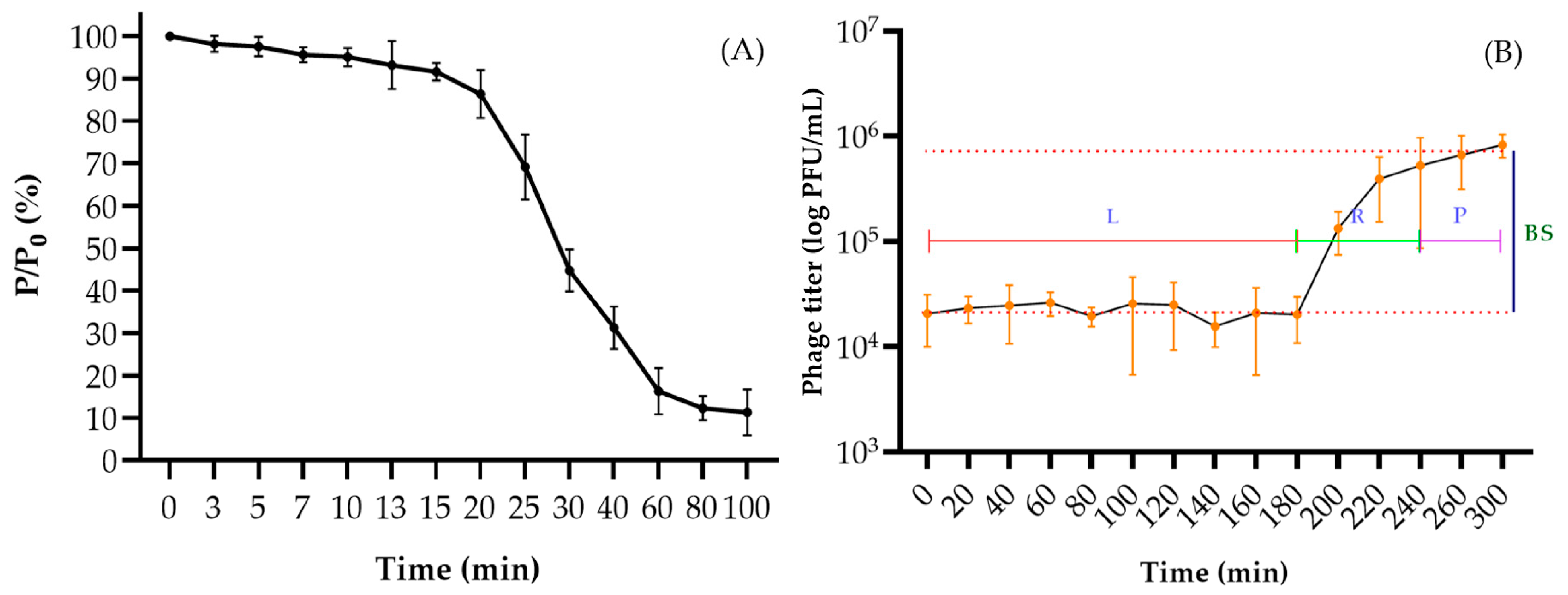 Viruses 16 00406 g002