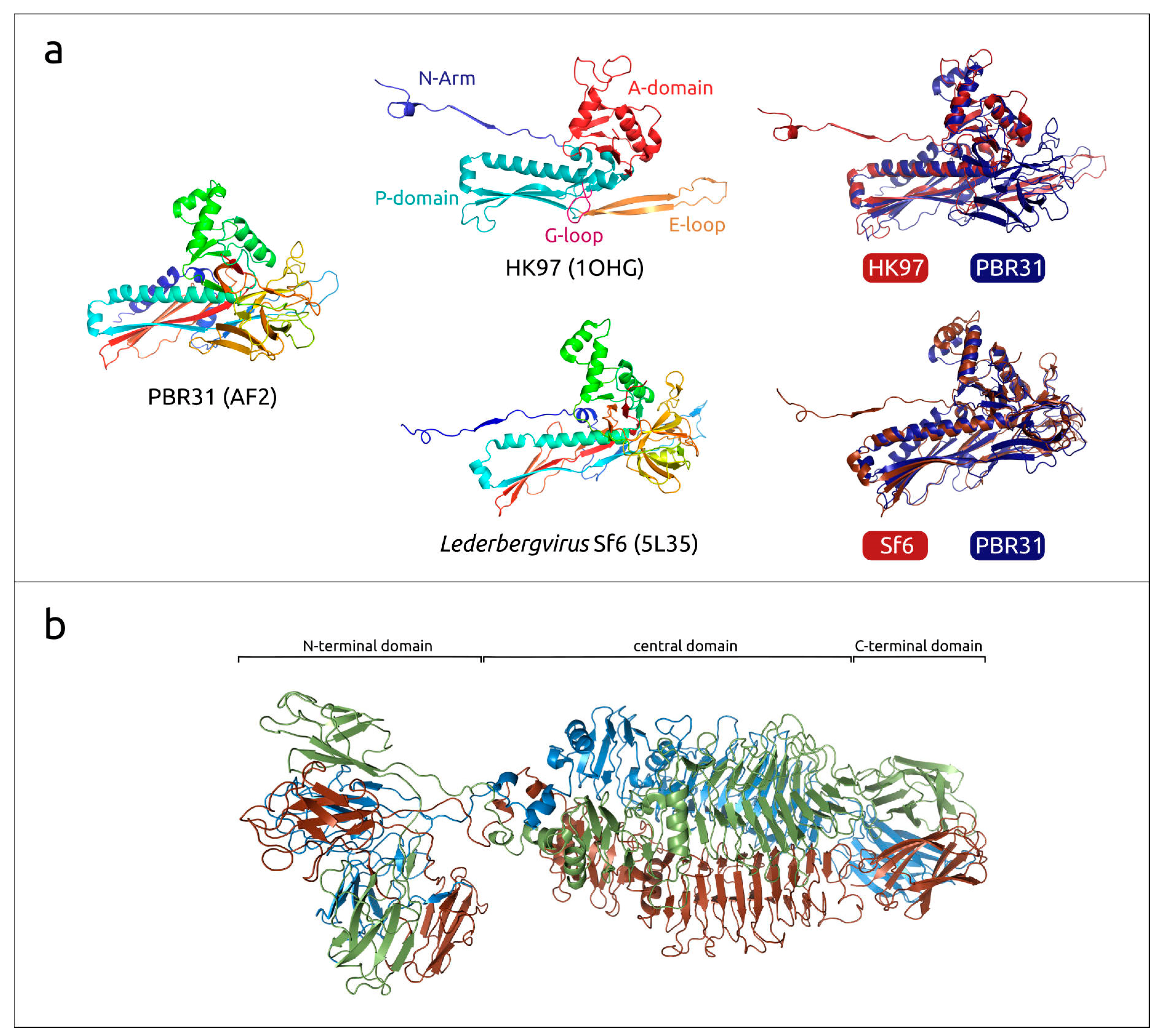 Viruses 16 00406 g005