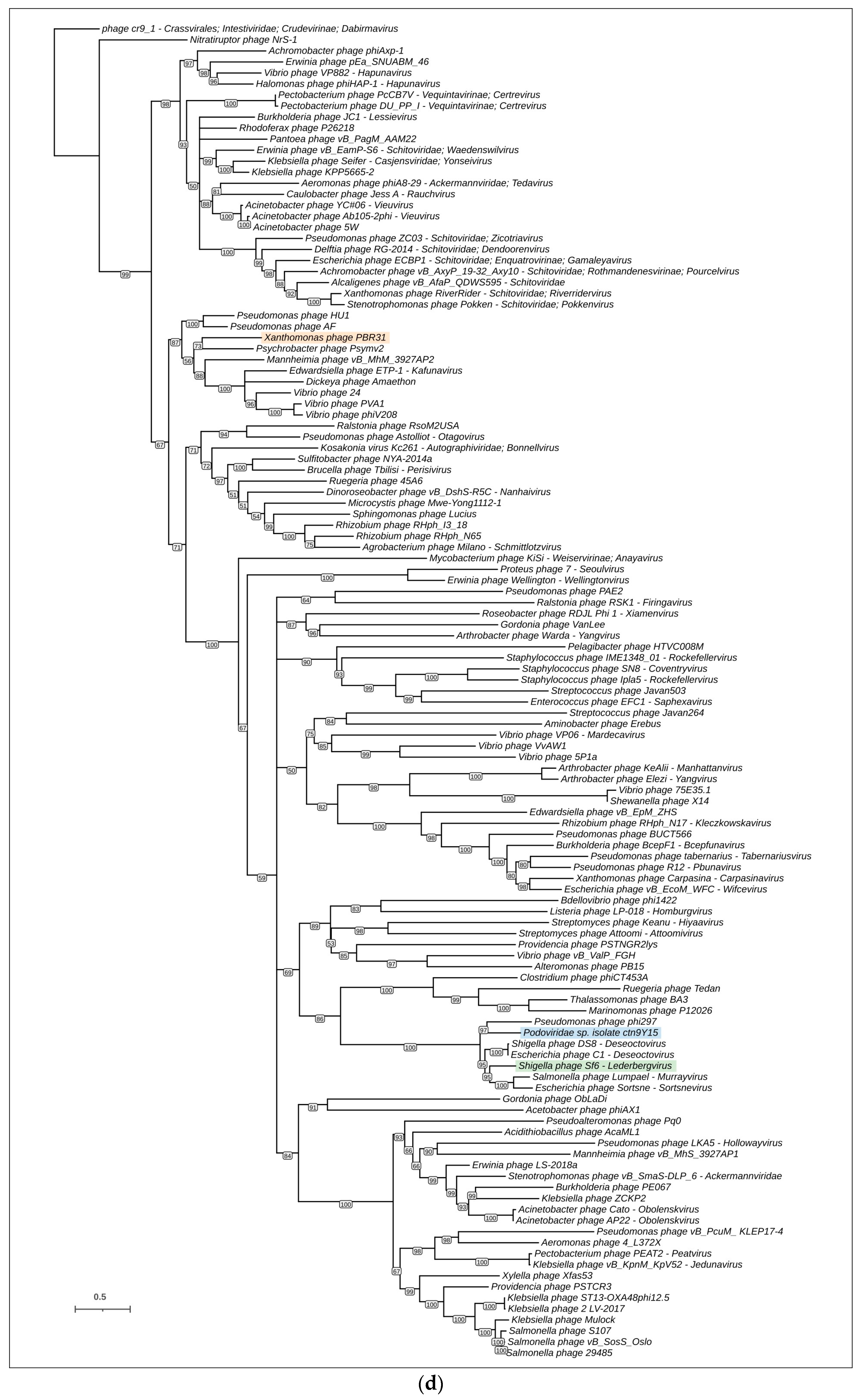 Viruses 16 00406 g006d