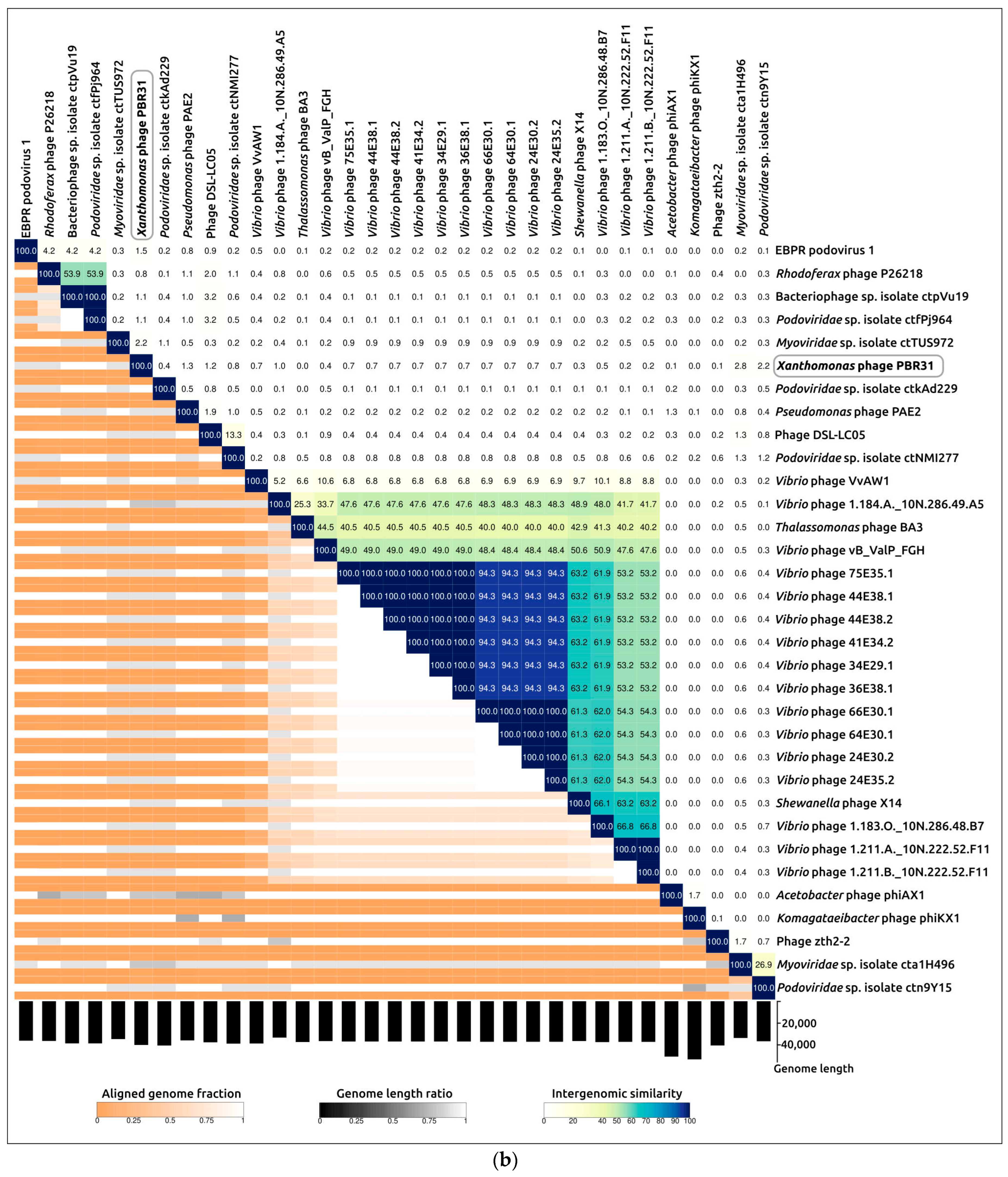 Viruses 16 00406 g007b