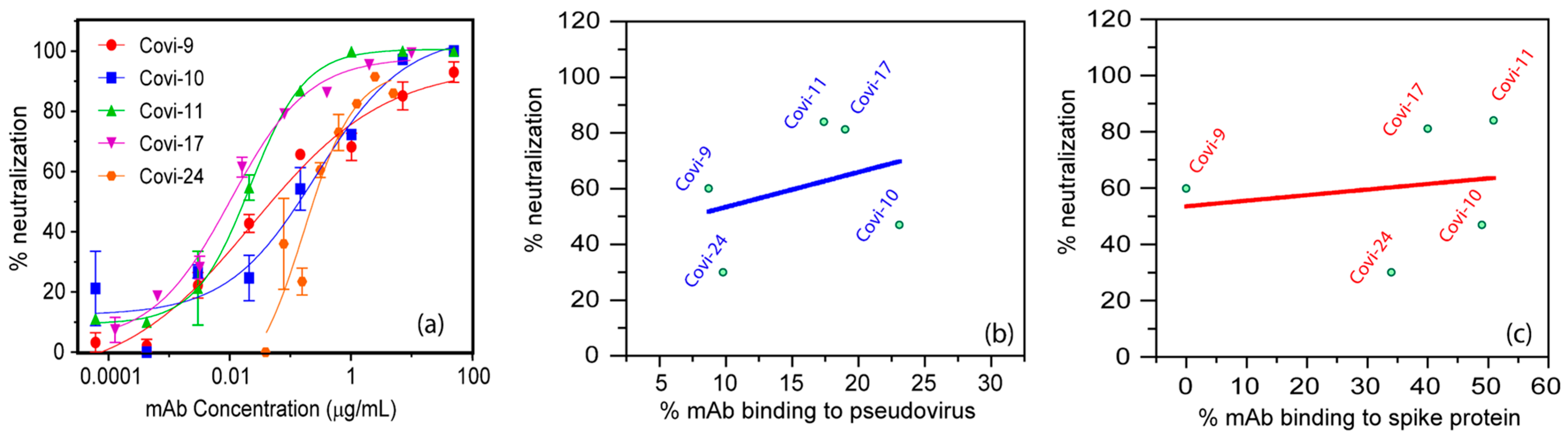 Viruses 16 00407 g005