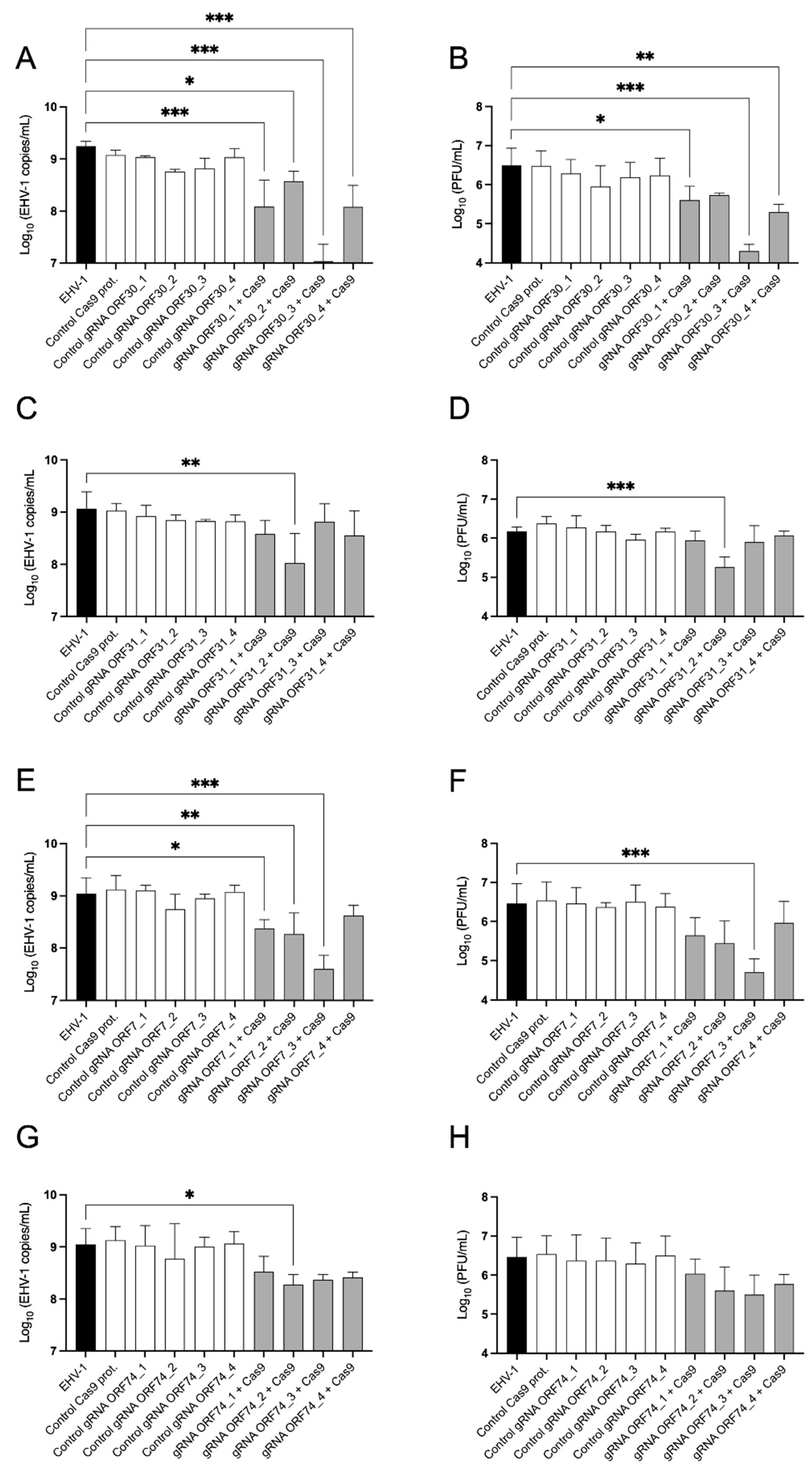 Viruses 16 00409 g003