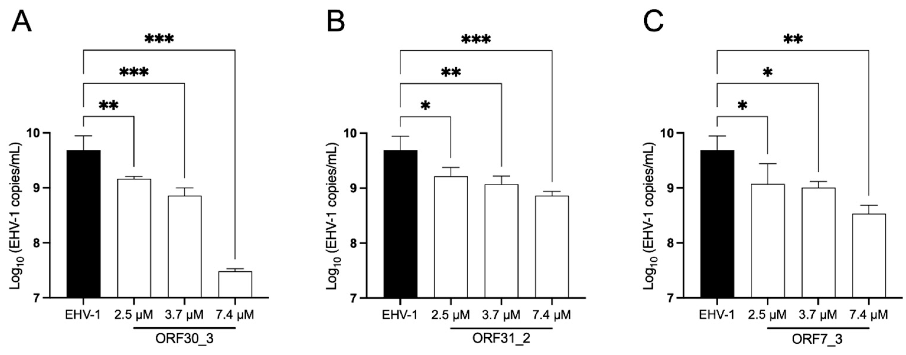 Viruses 16 00409 g005