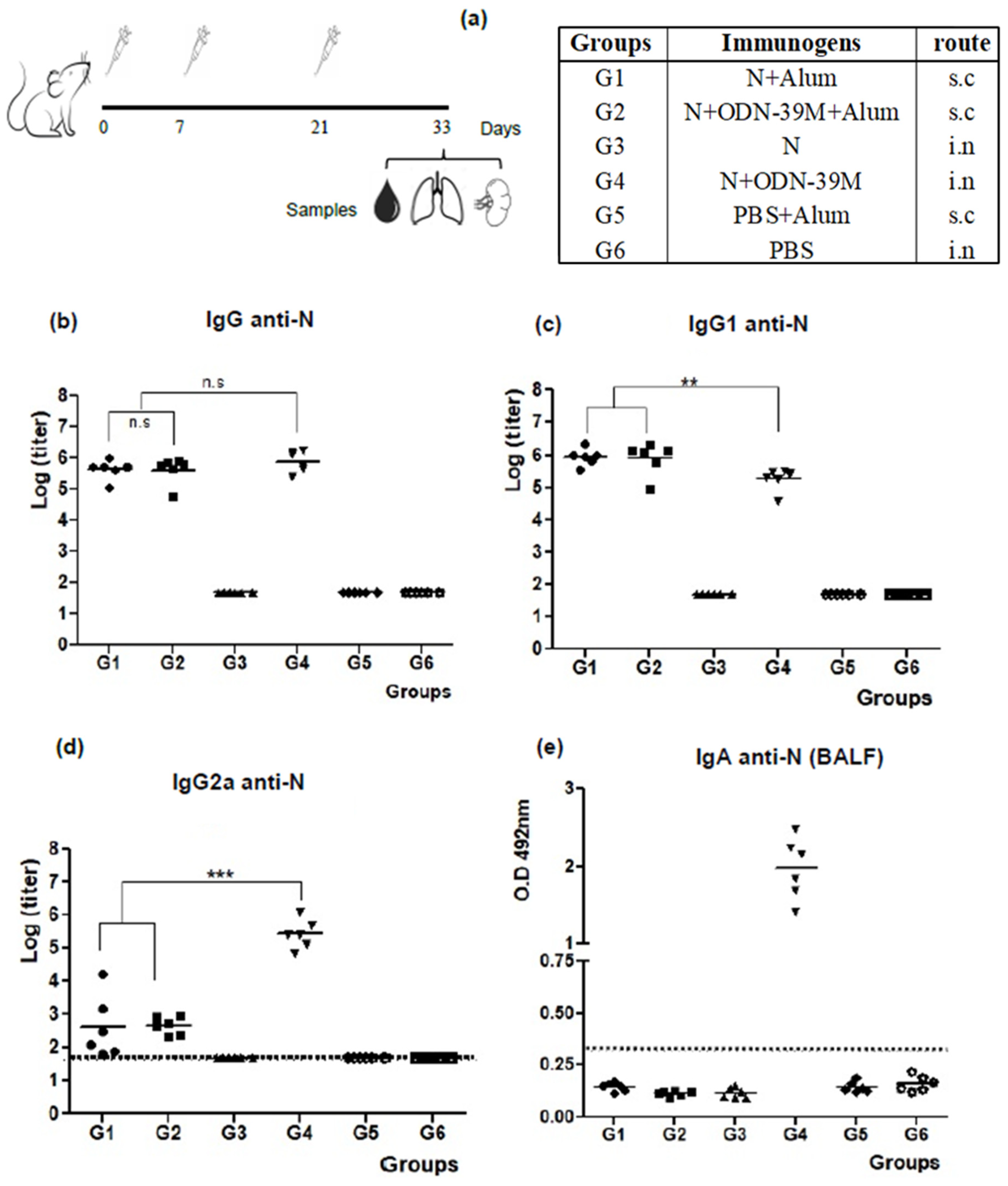 Viruses 16 00418 g001
