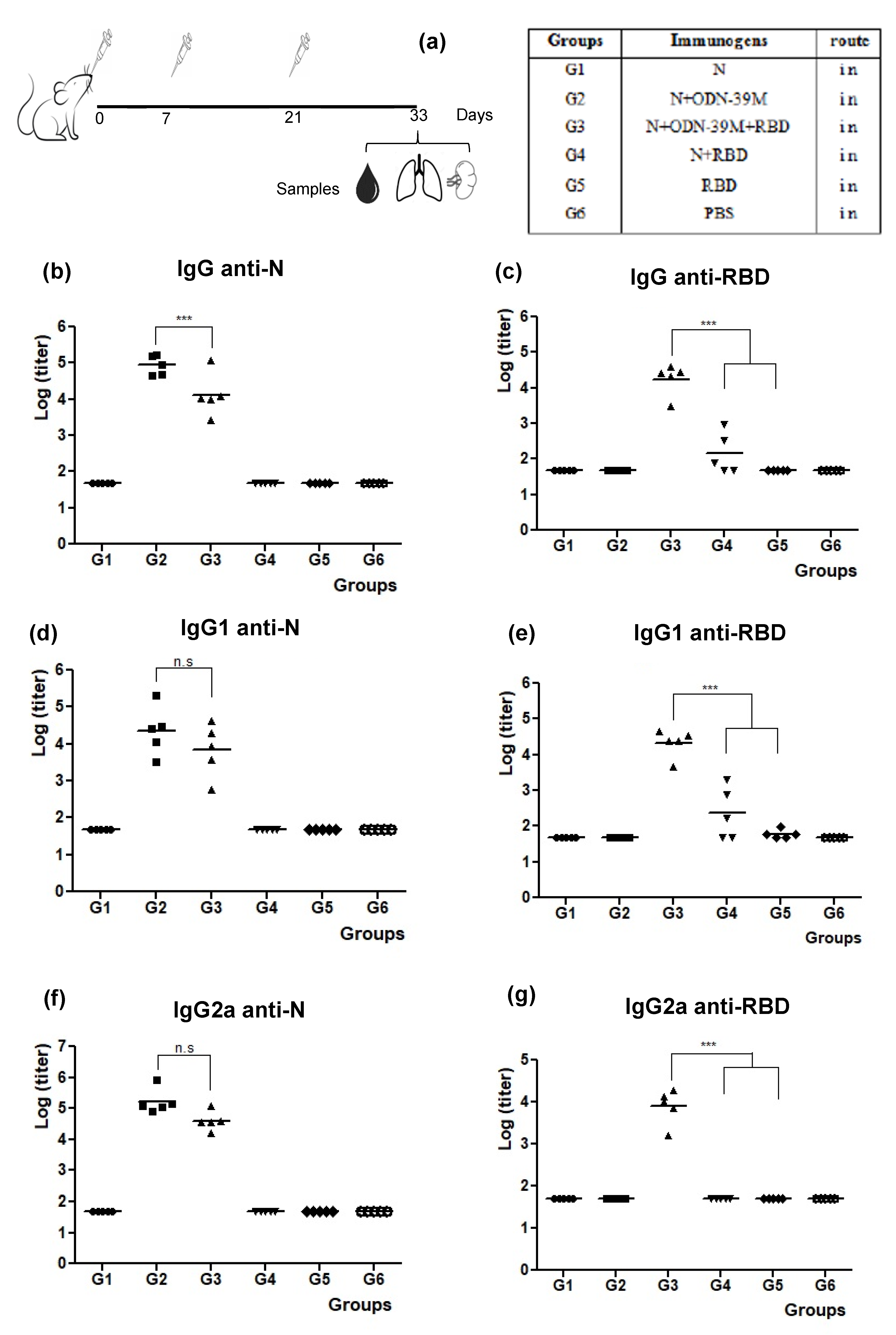 Viruses 16 00418 g004