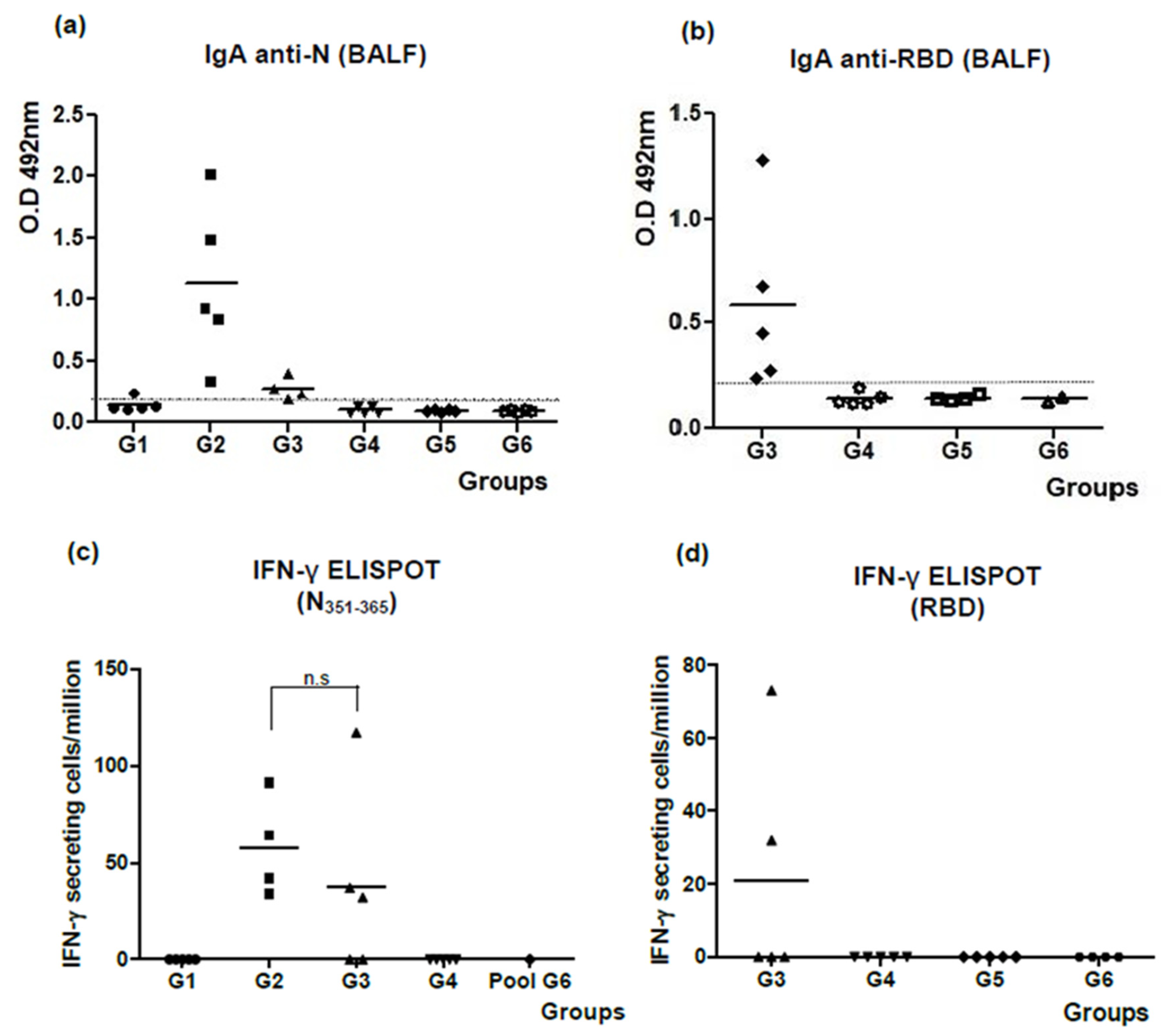 Viruses 16 00418 g005