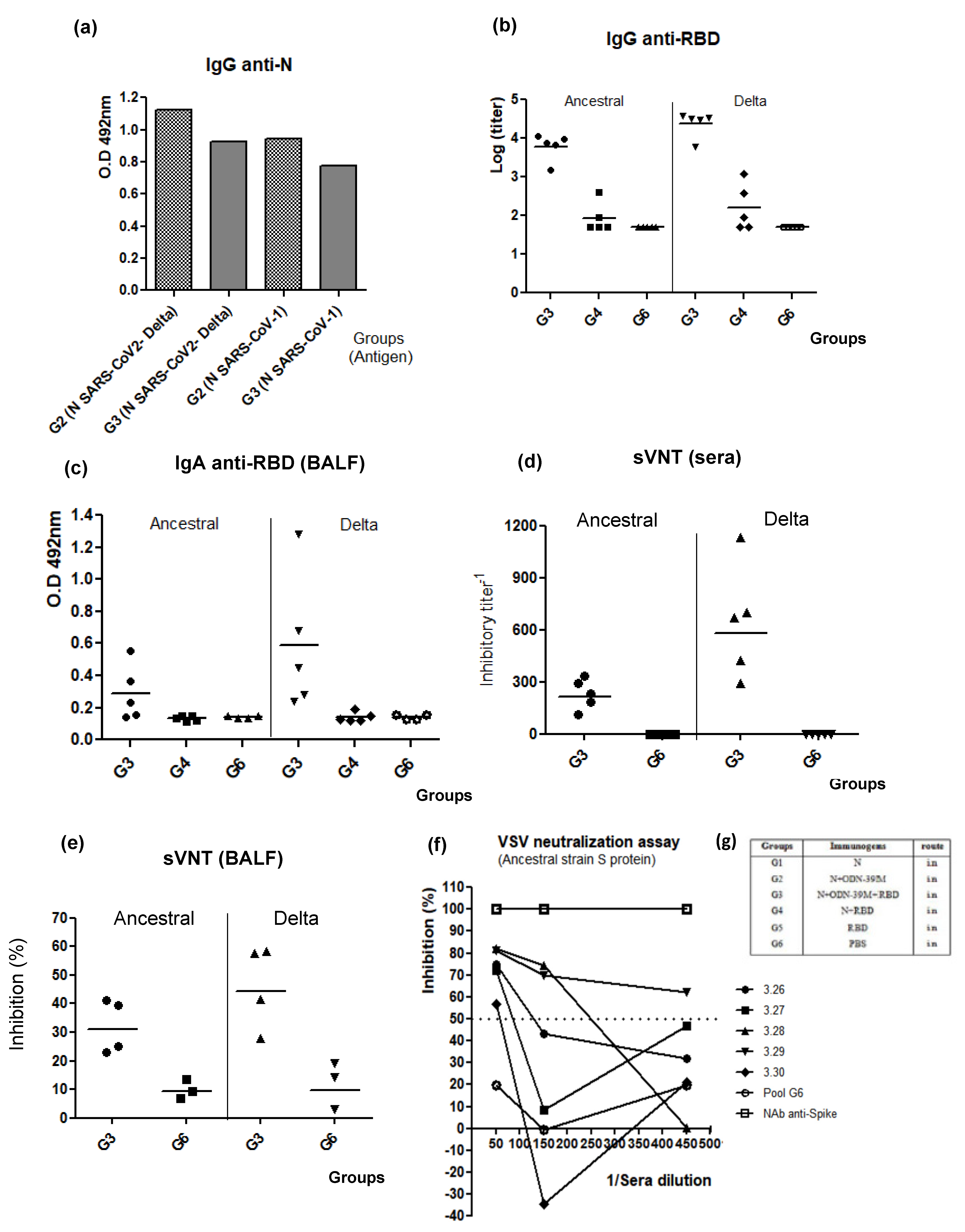 Viruses 16 00418 g006