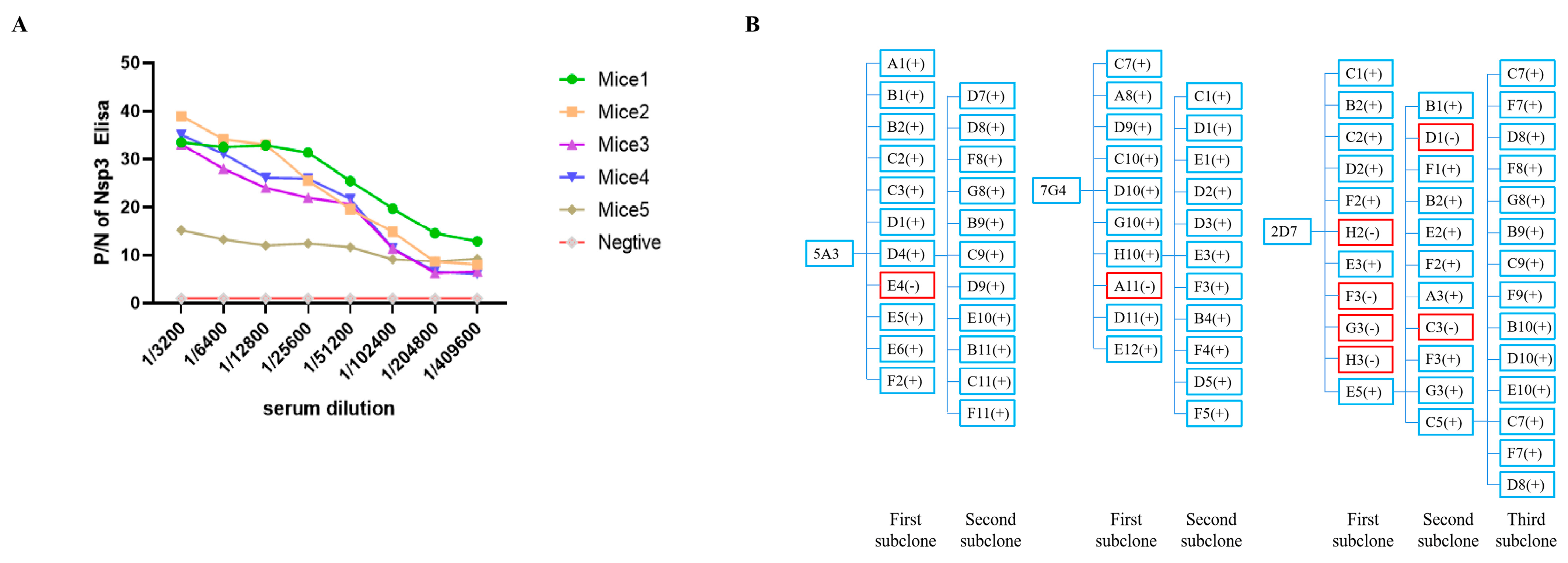 Viruses 16 00424 g002