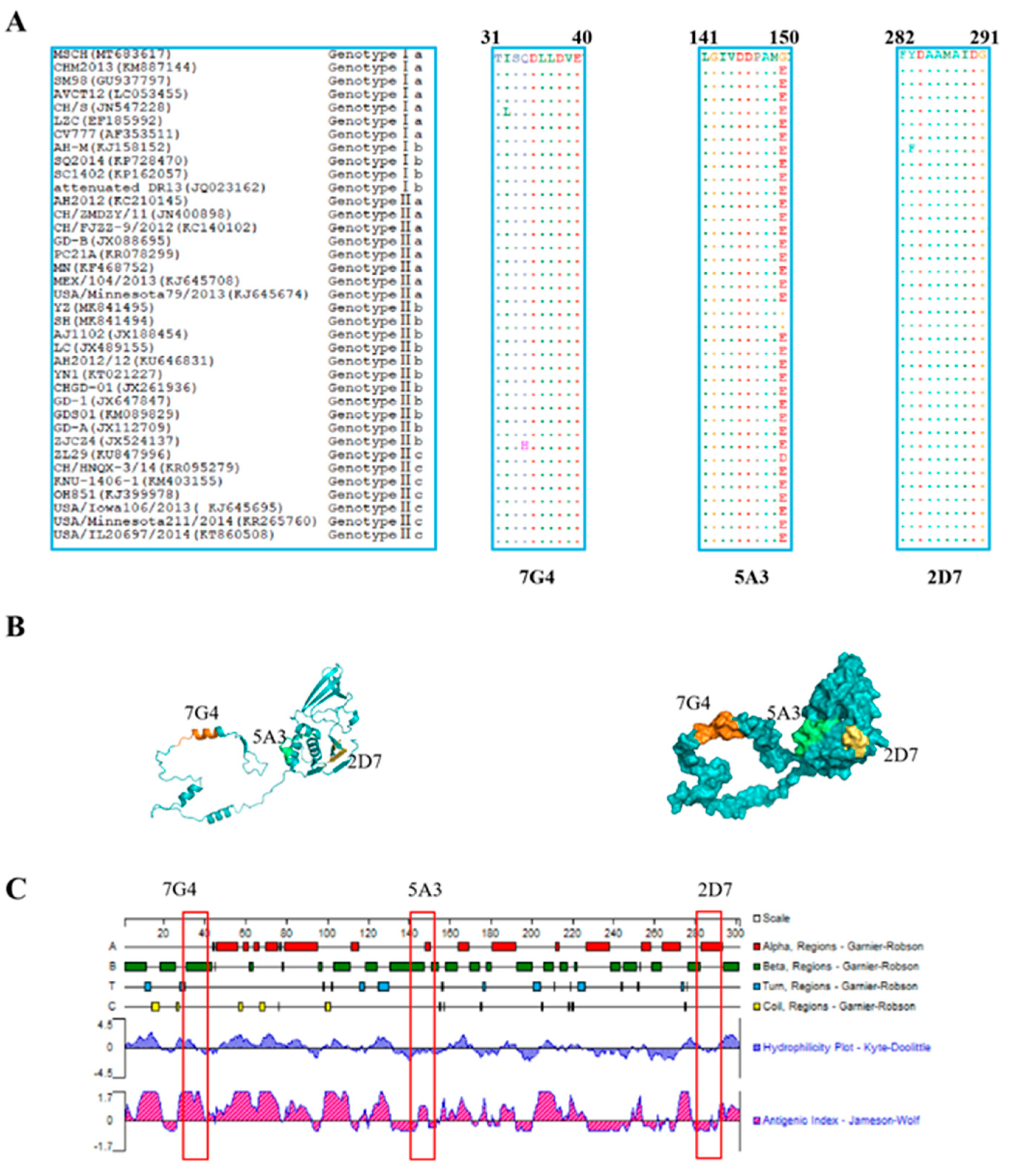 Viruses 16 00424 g005