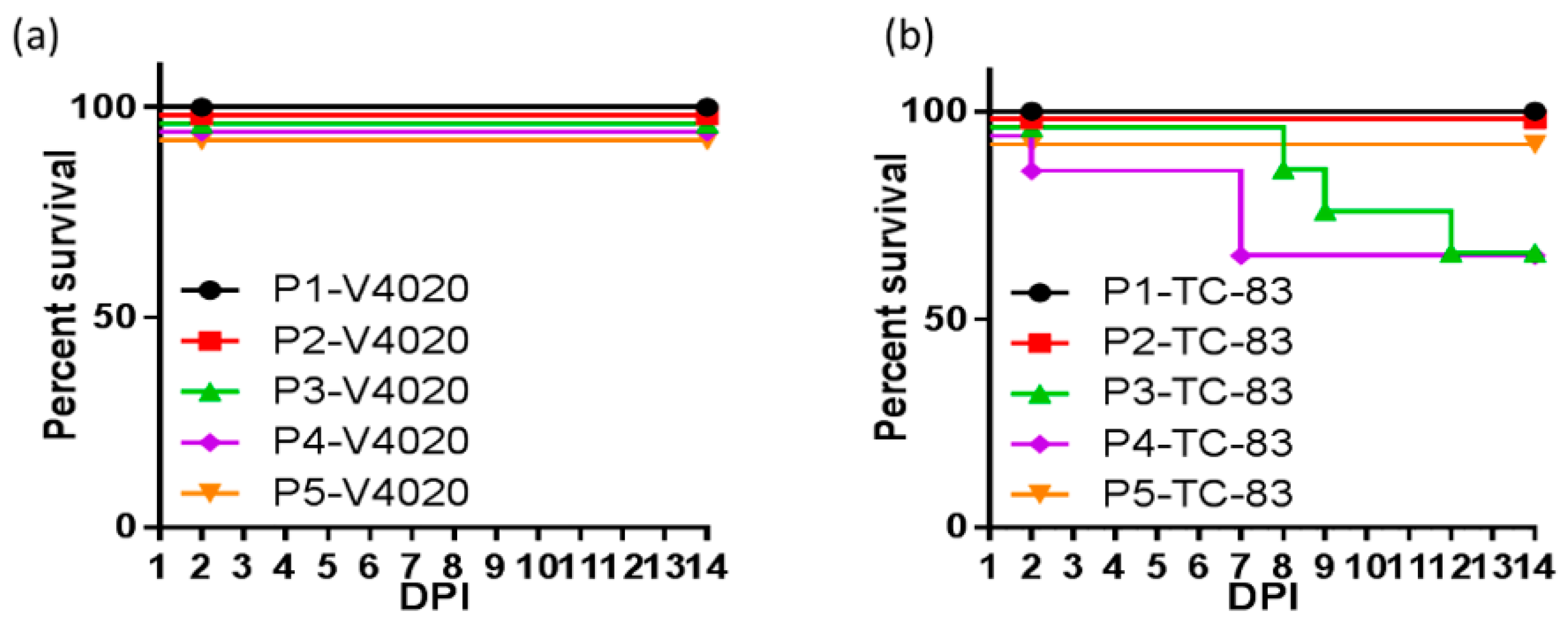 Viruses 16 00428 g002 Viruses 16 00428 g002