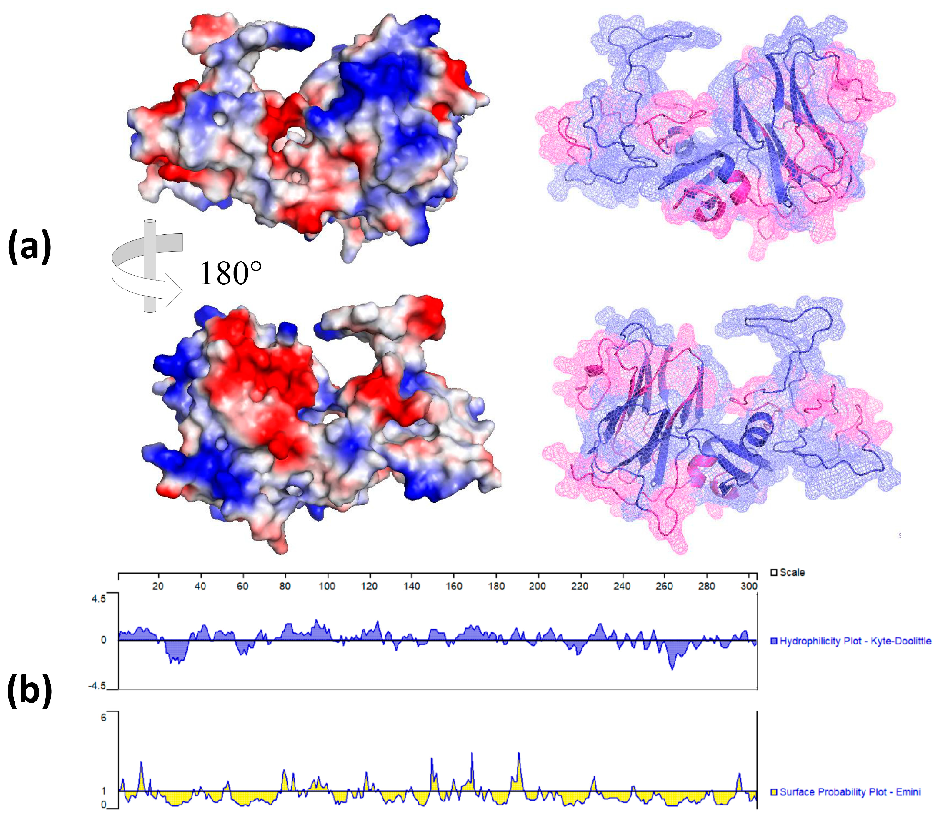 Viruses 16 00431 g003 Viruses 16 00431 g003