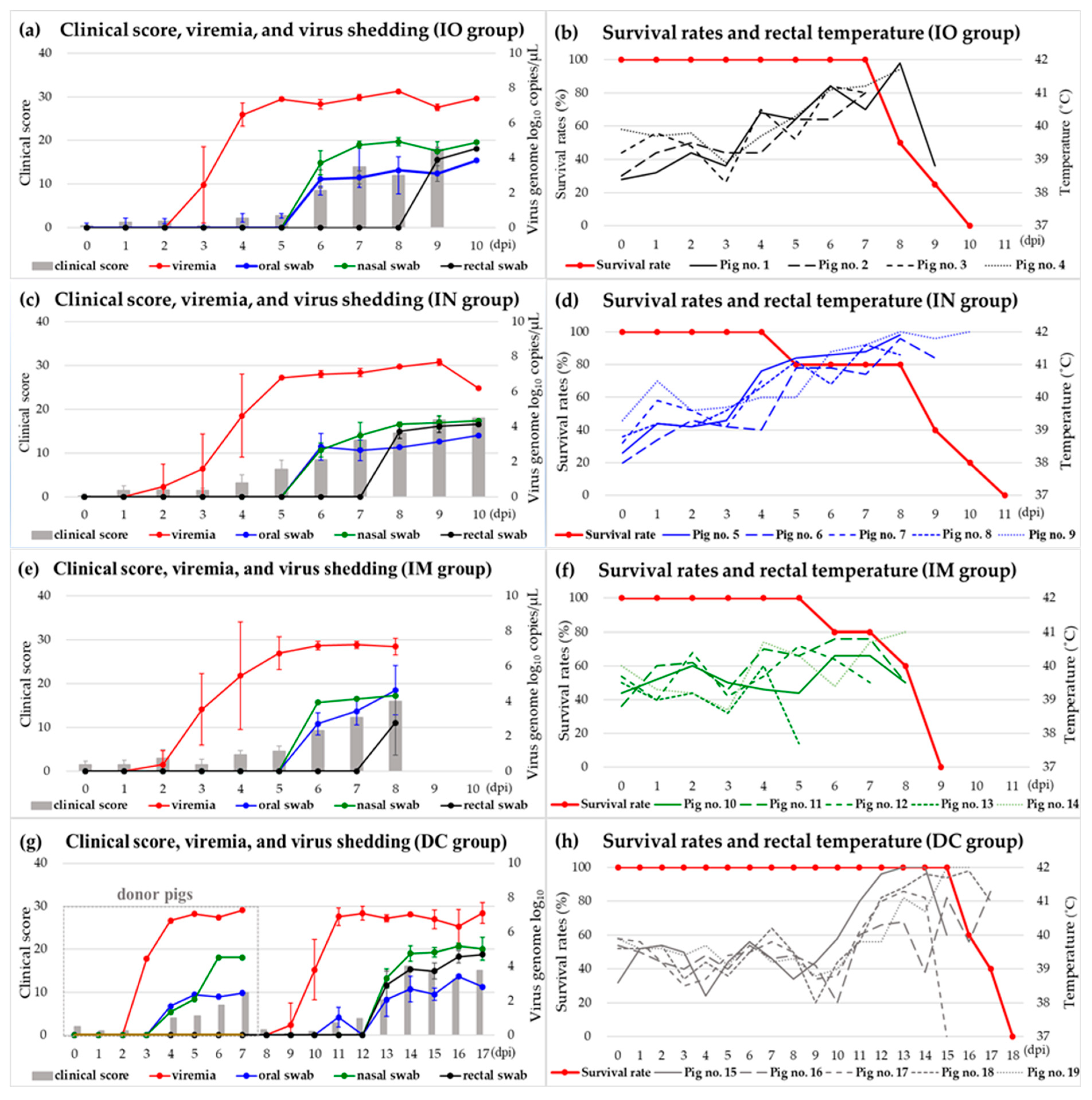 Viruses 16 00433 g001