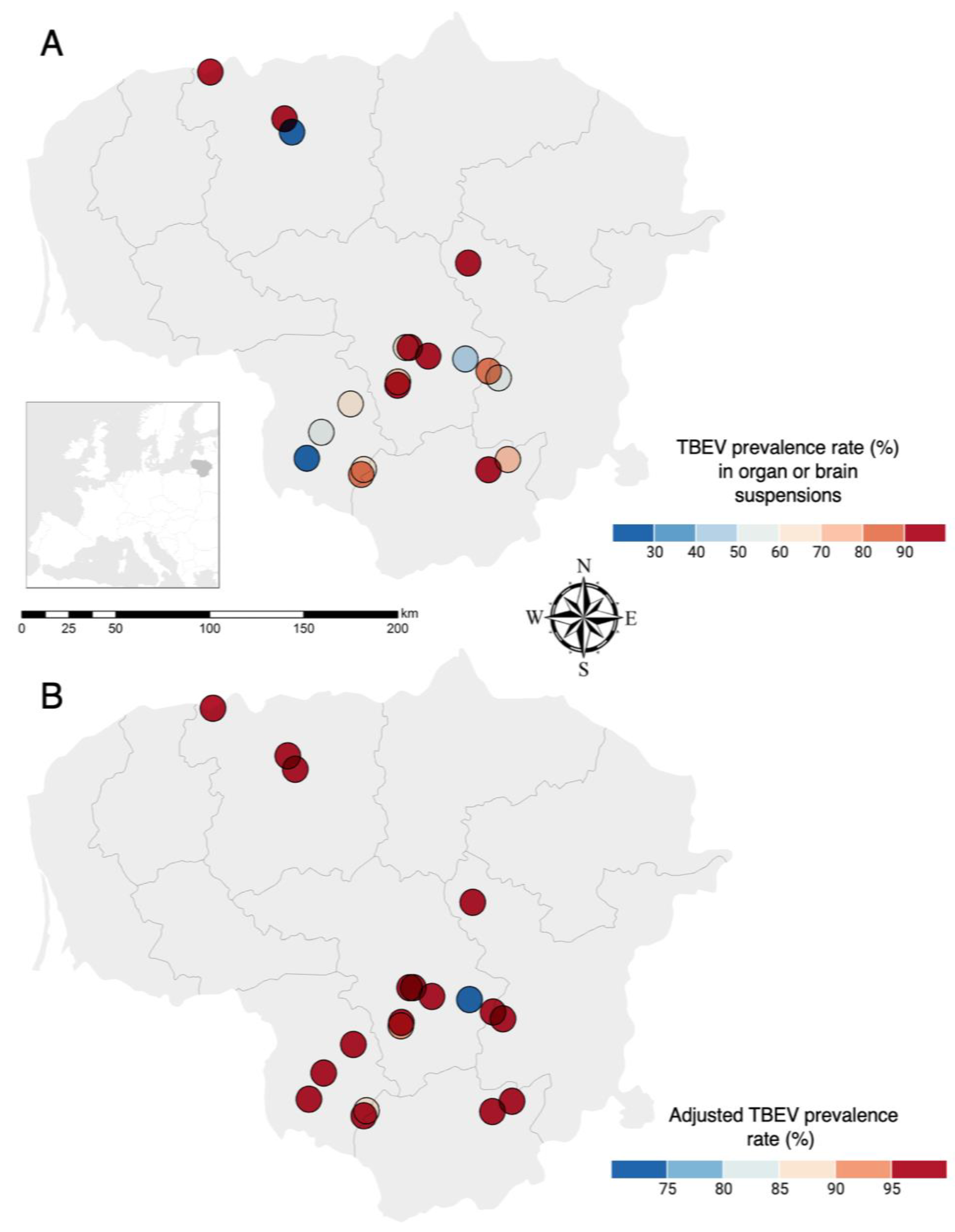Viruses 16 00444 g002