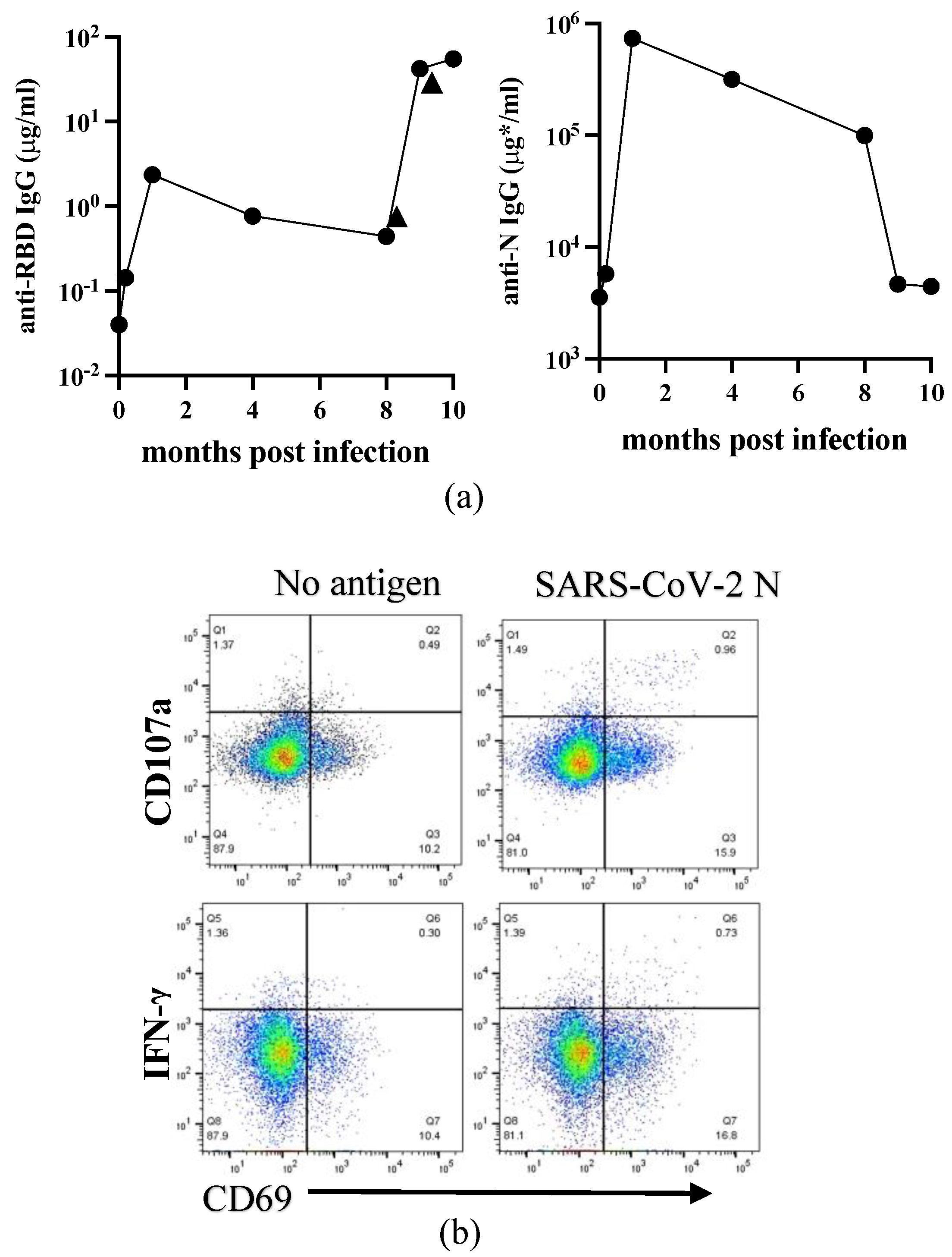 Viruses 16 00446 g001a