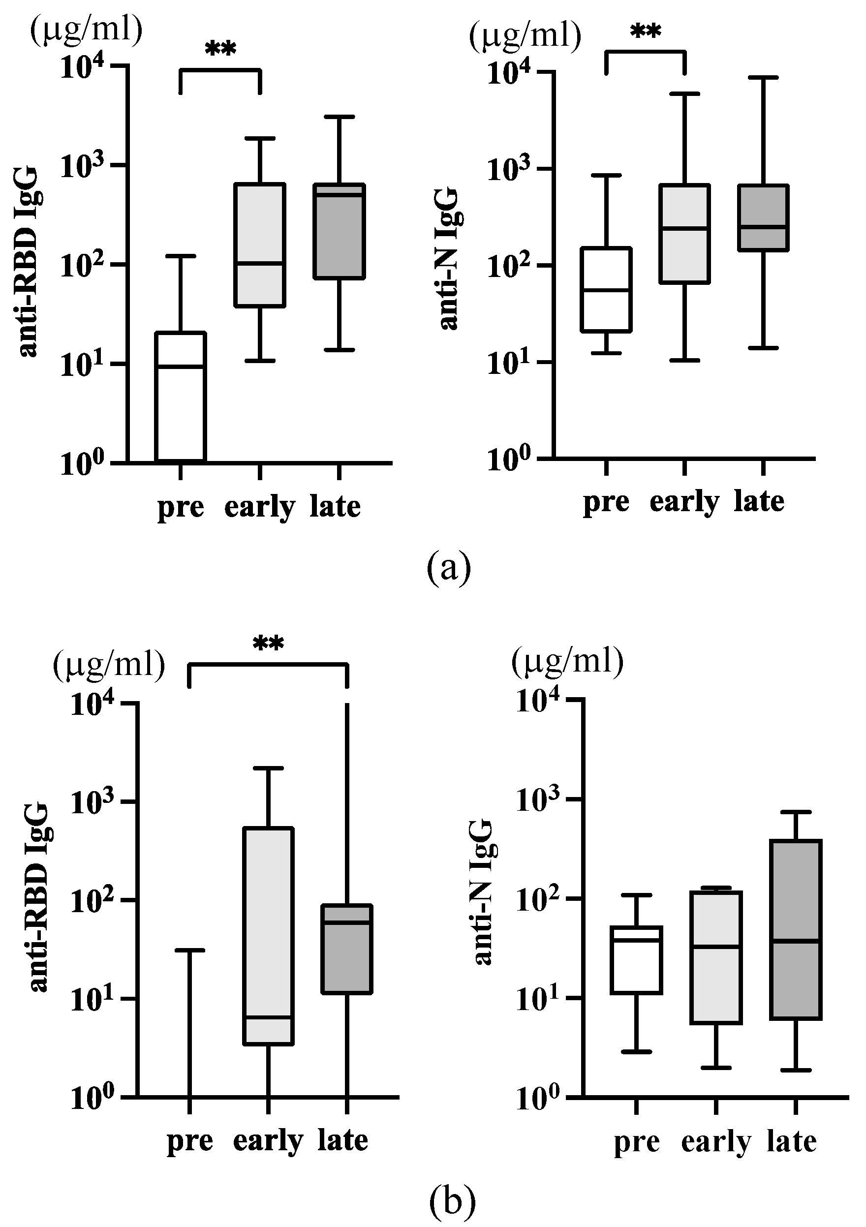 Viruses 16 00446 g003