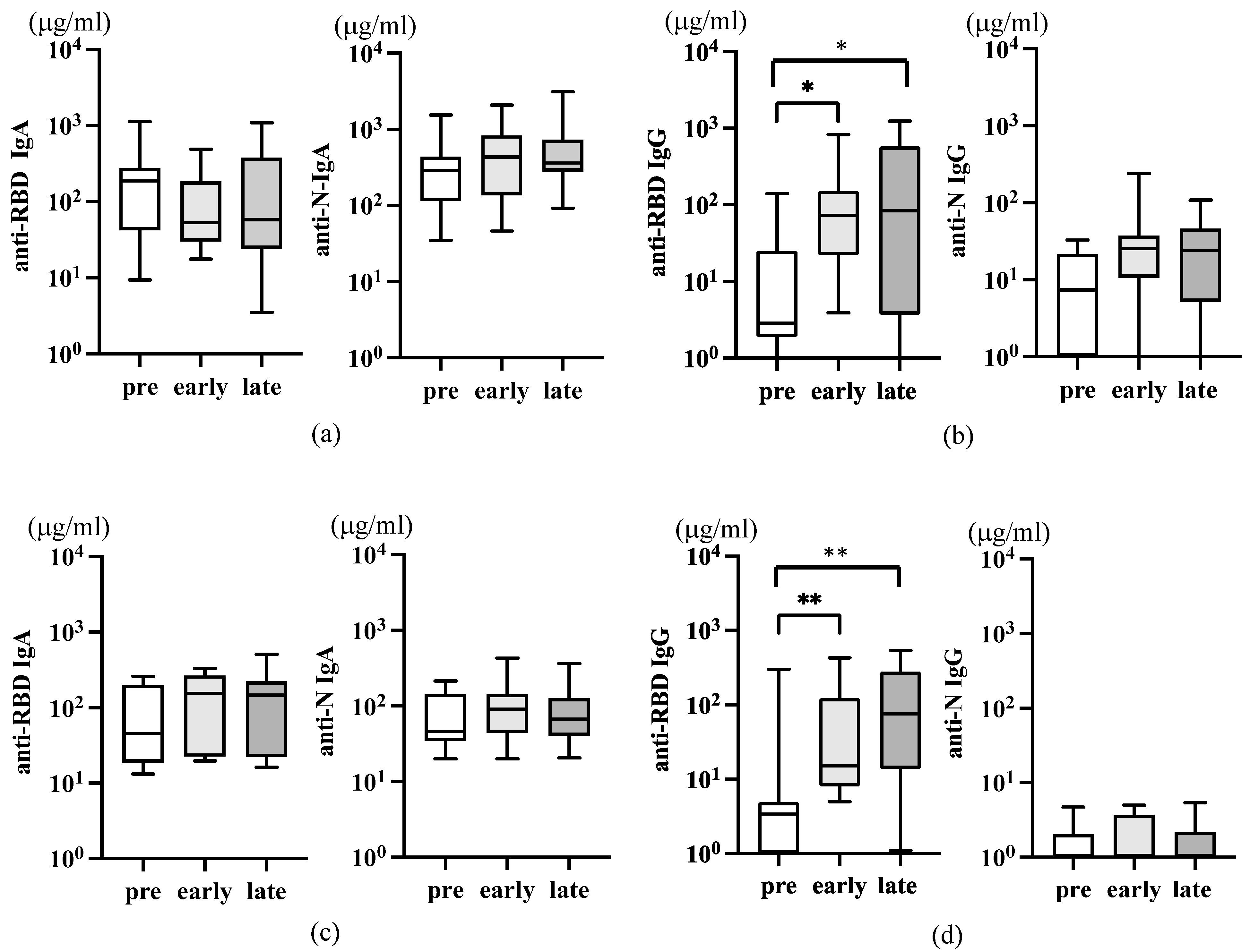 Viruses 16 00446 g005