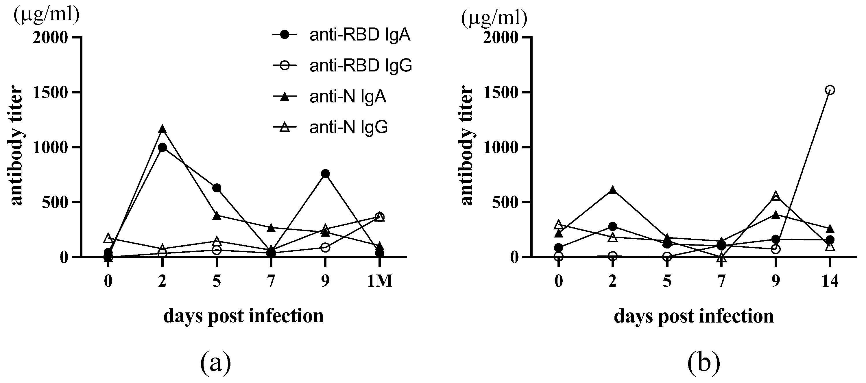 Viruses 16 00446 g006