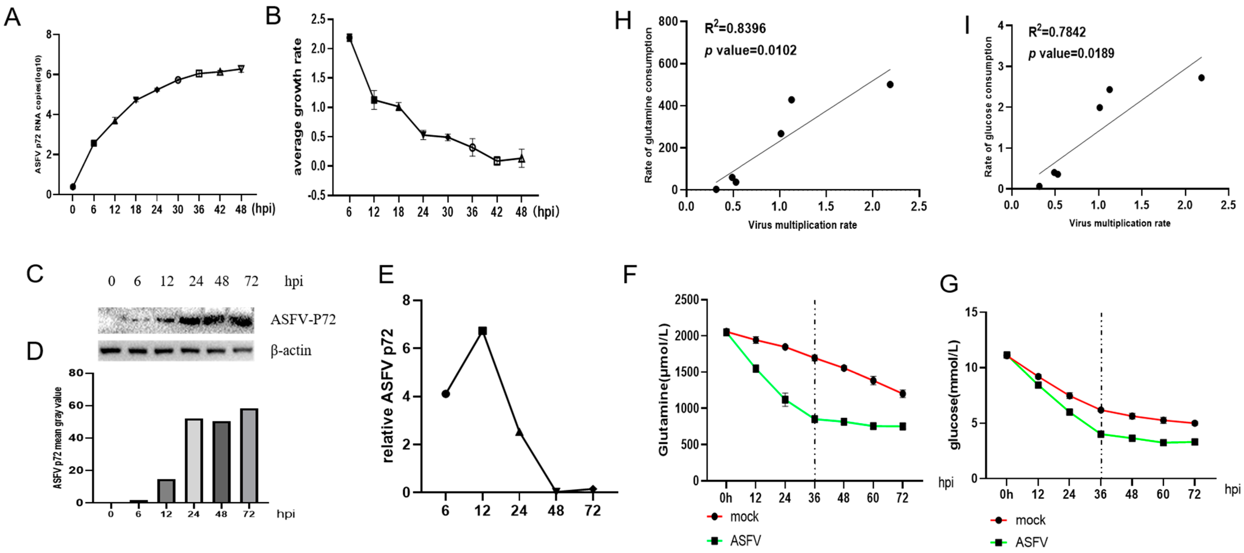 Viruses 16 00449 g001
