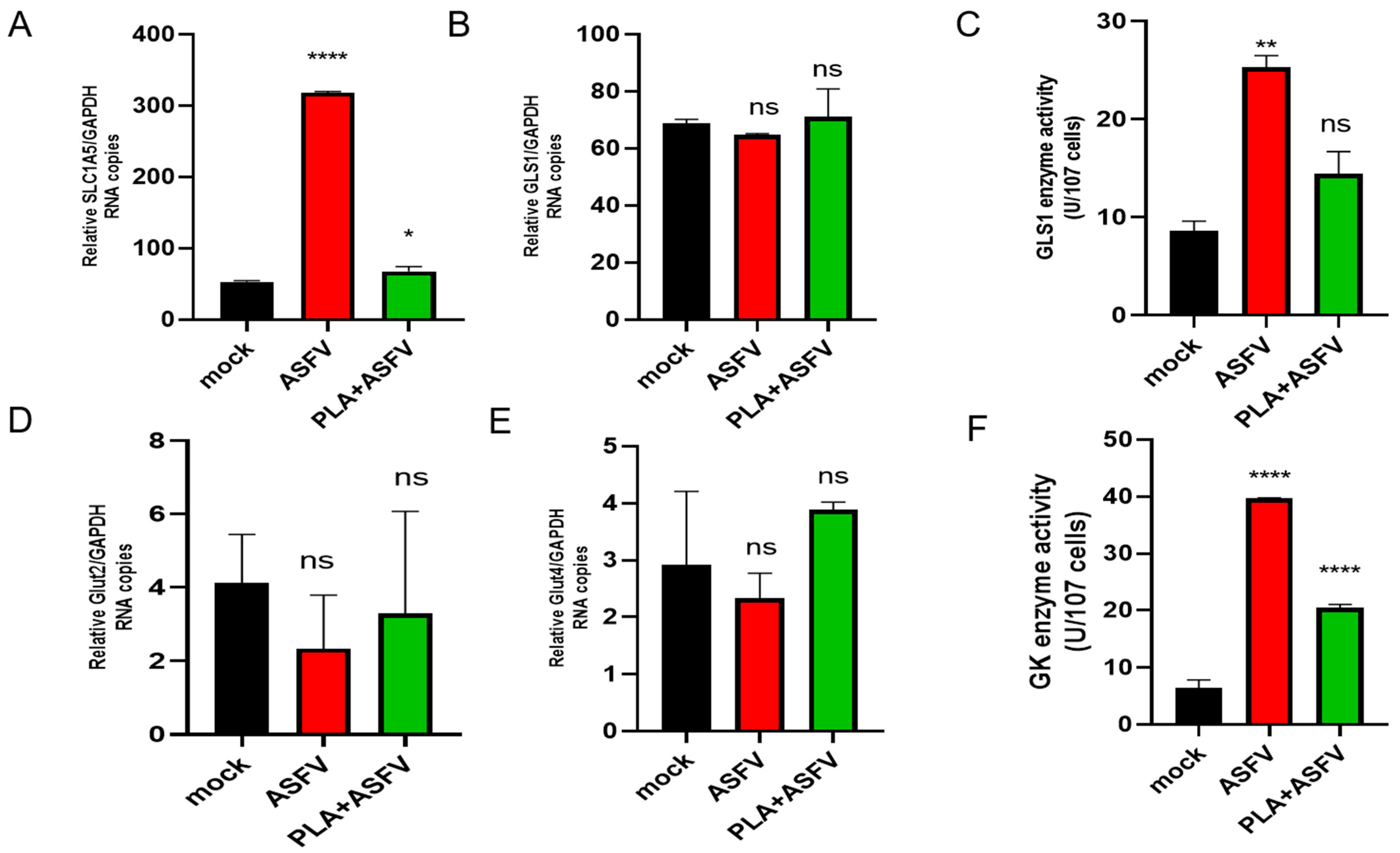 Viruses 16 00449 g006