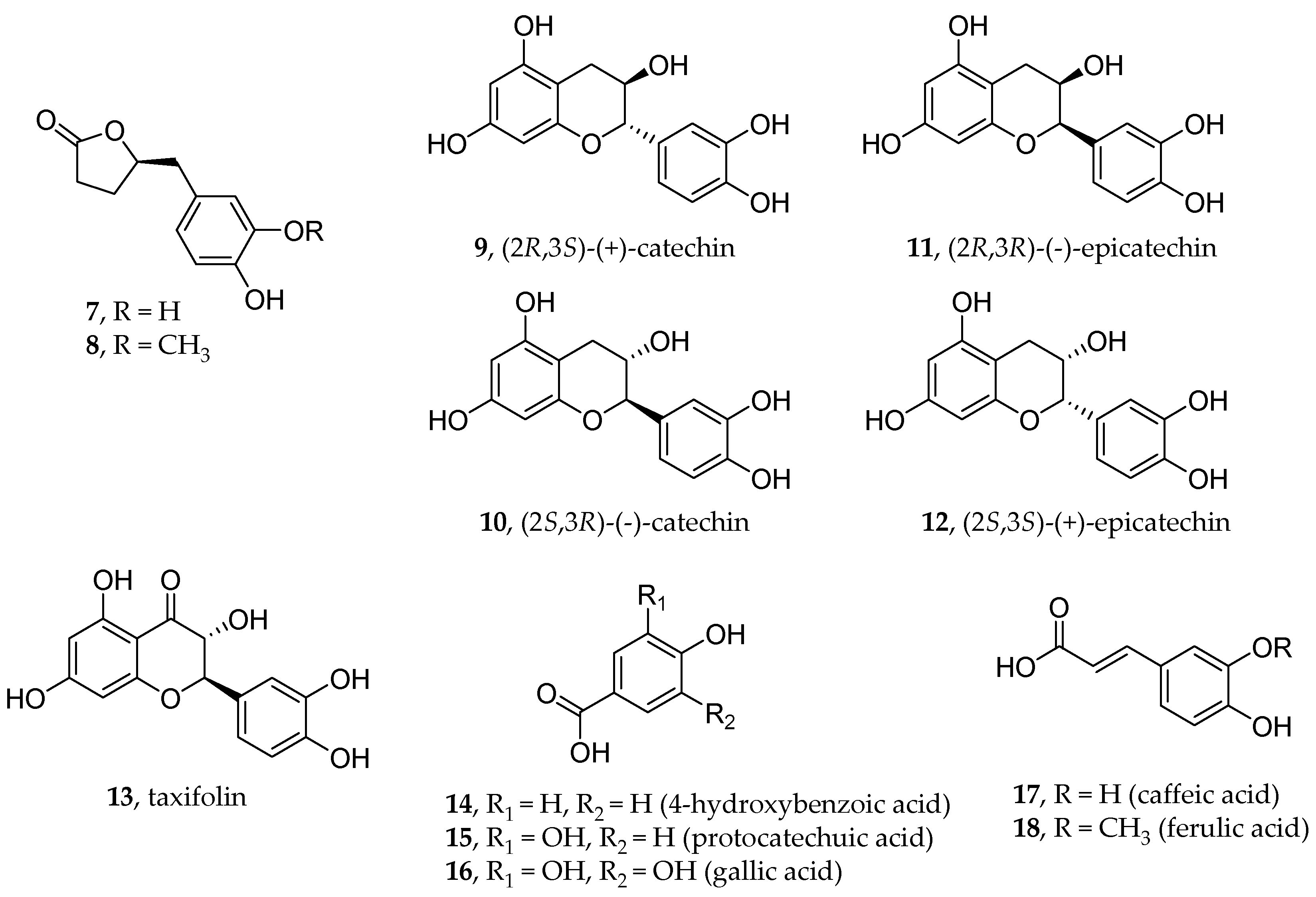 Viruses 16 00450 g008