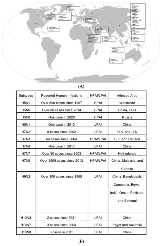 Viruses 16 00458 g001