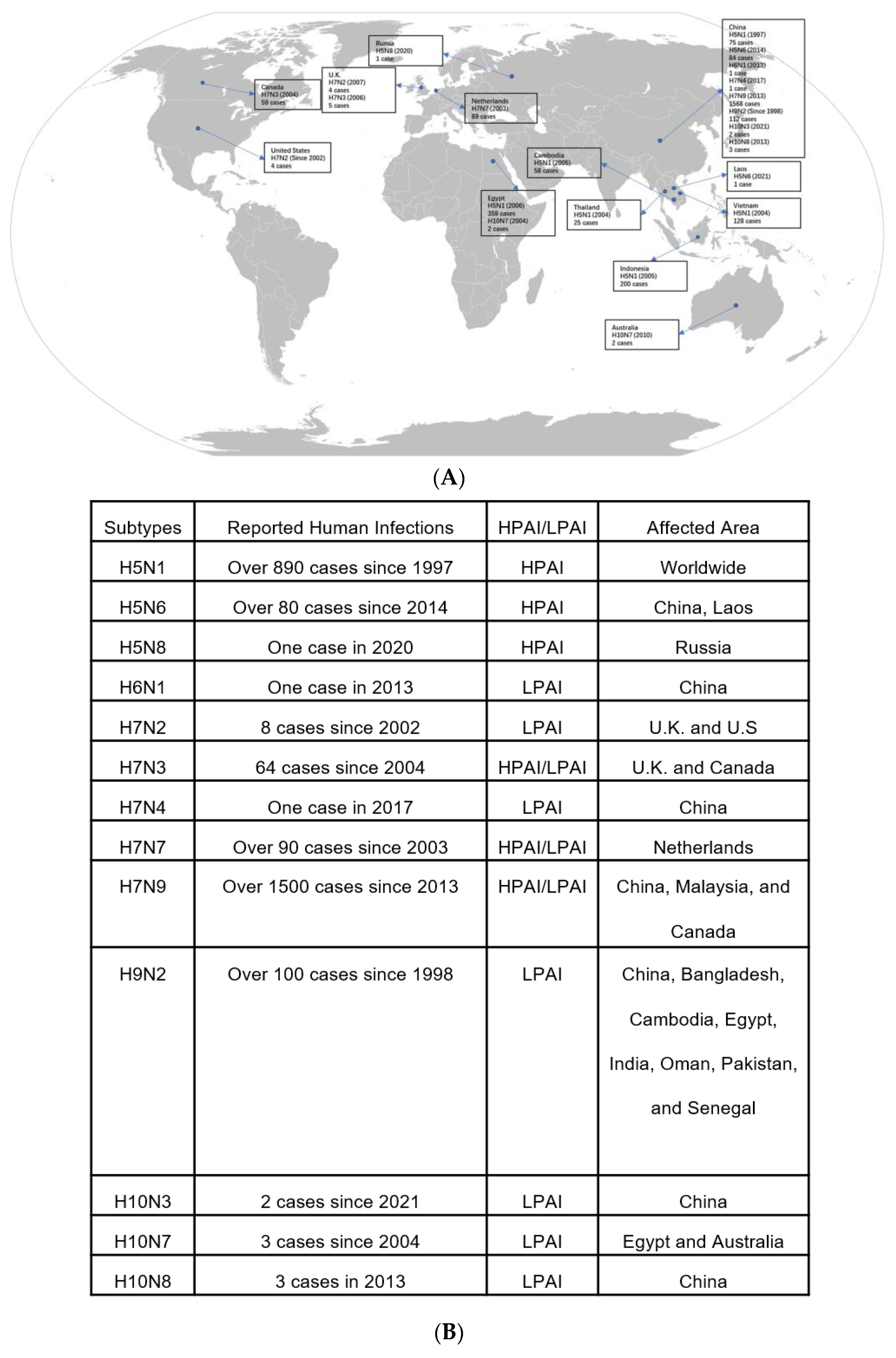 Viruses 16 00458 g001