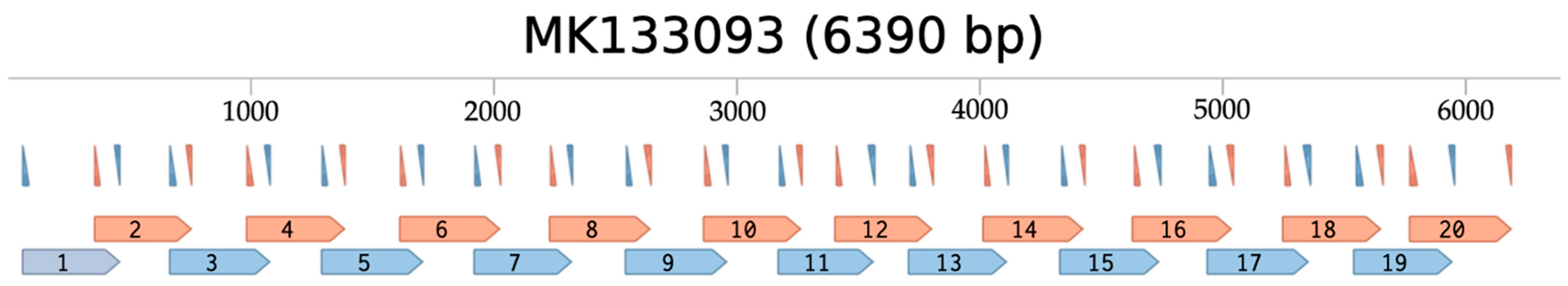 Viruses 16 00460 g001