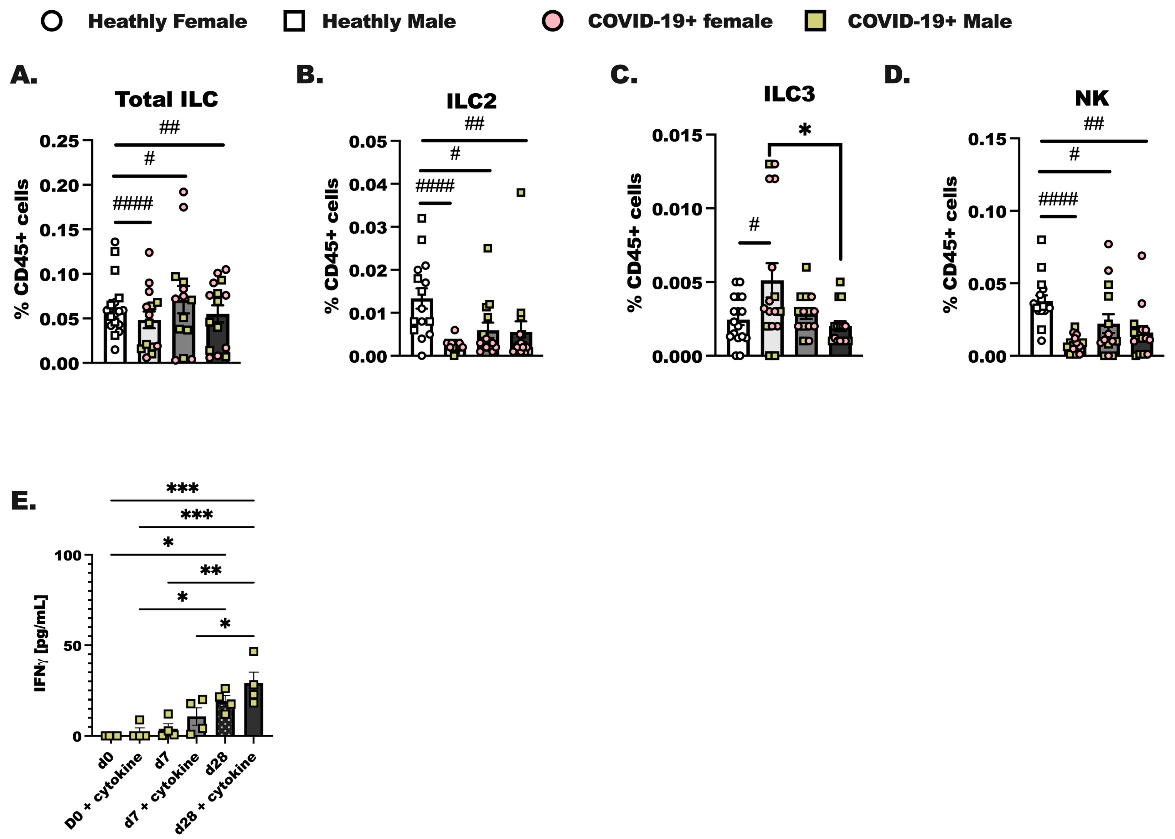 Viruses 16 00472 g002
