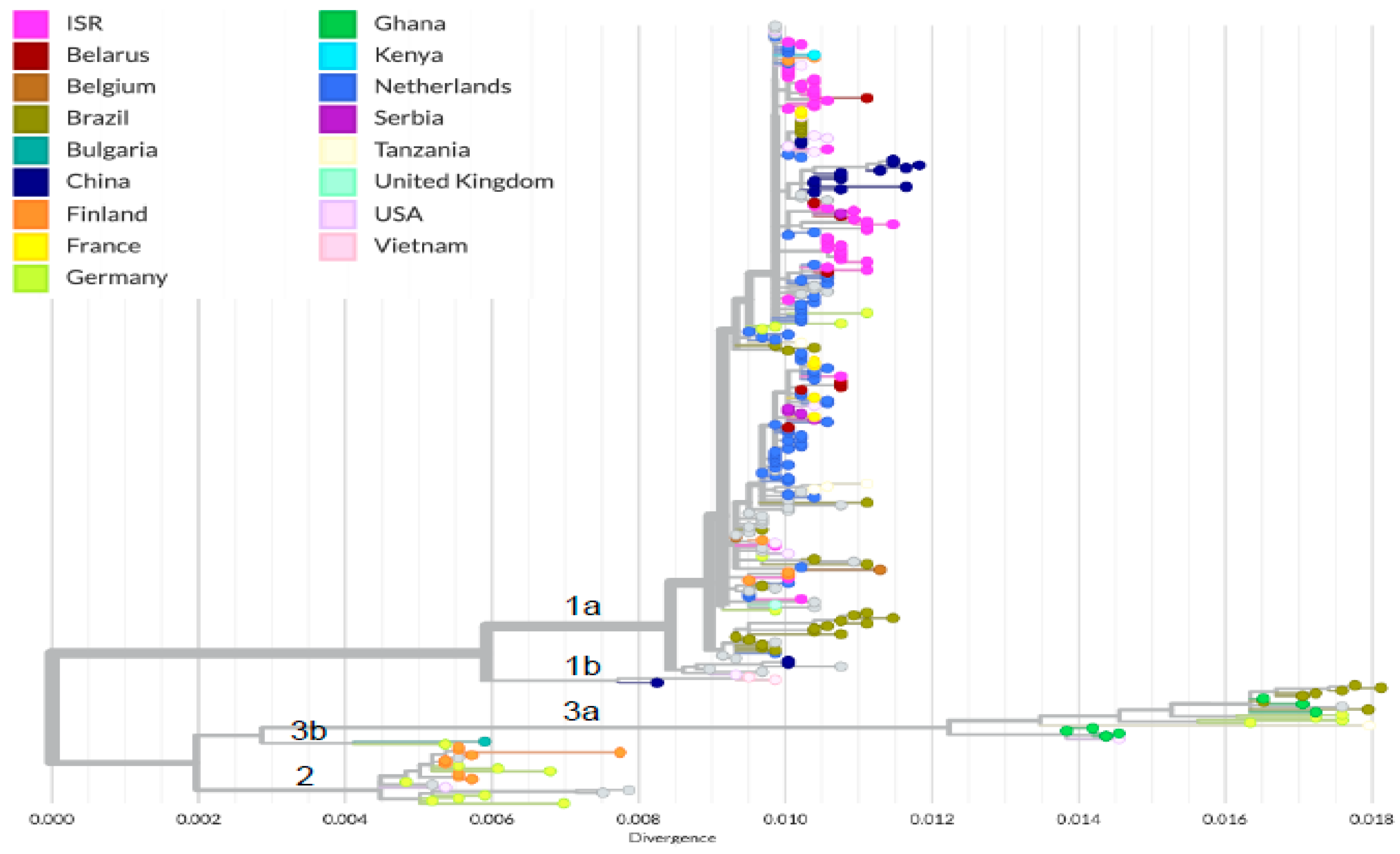 Viruses 16 00480 g004