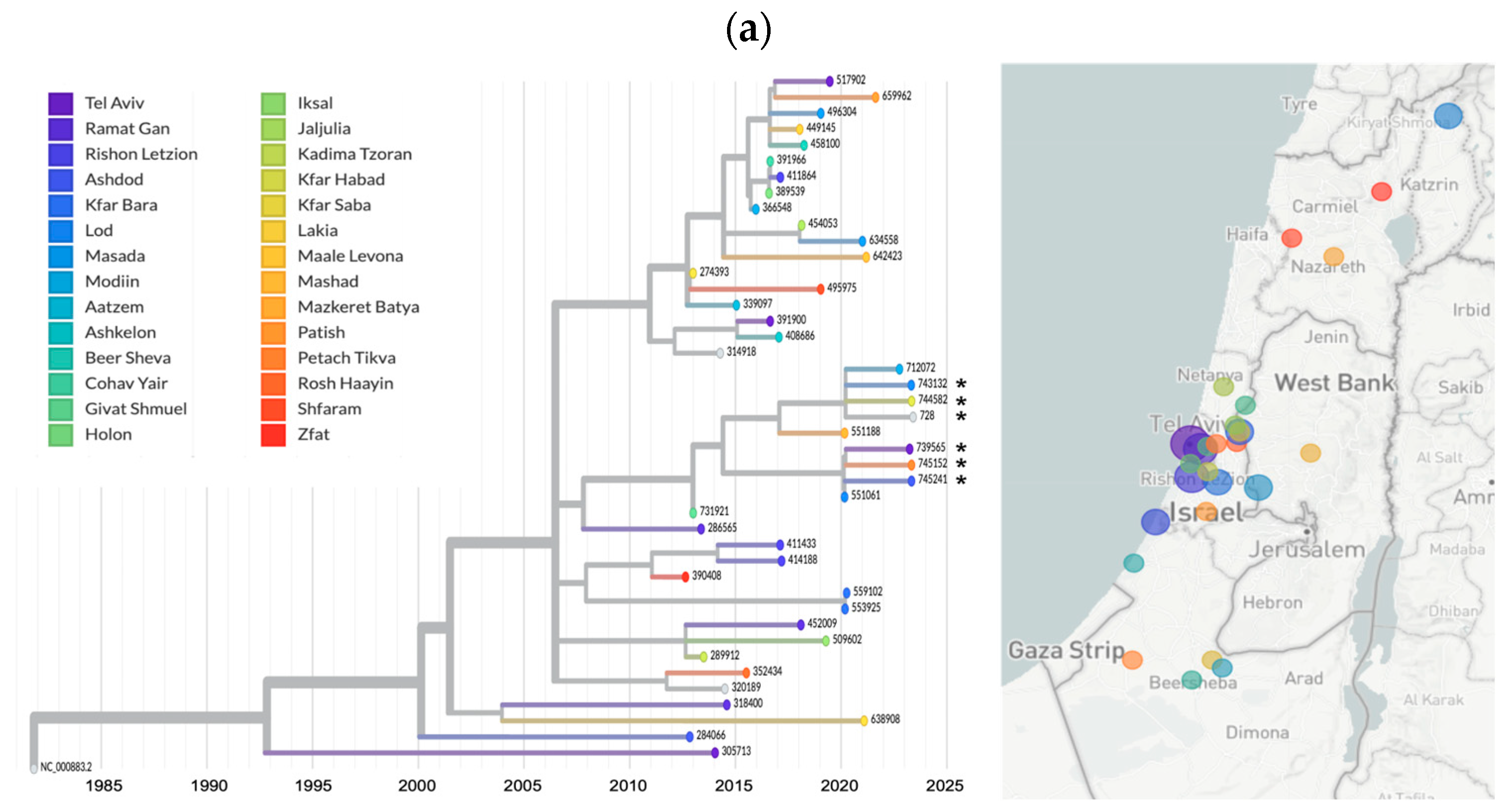 Viruses 16 00480 g005a