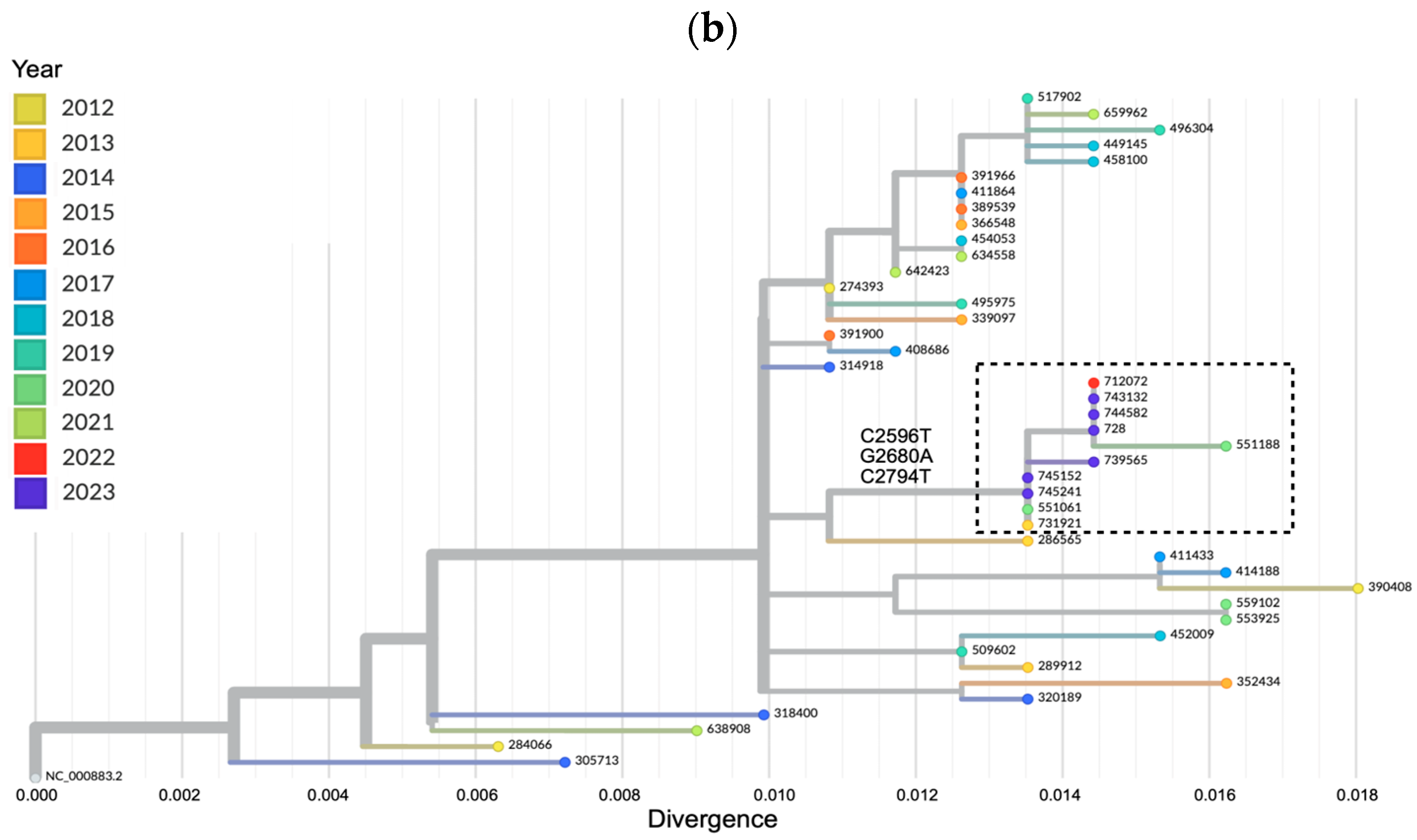 Viruses 16 00480 g005b