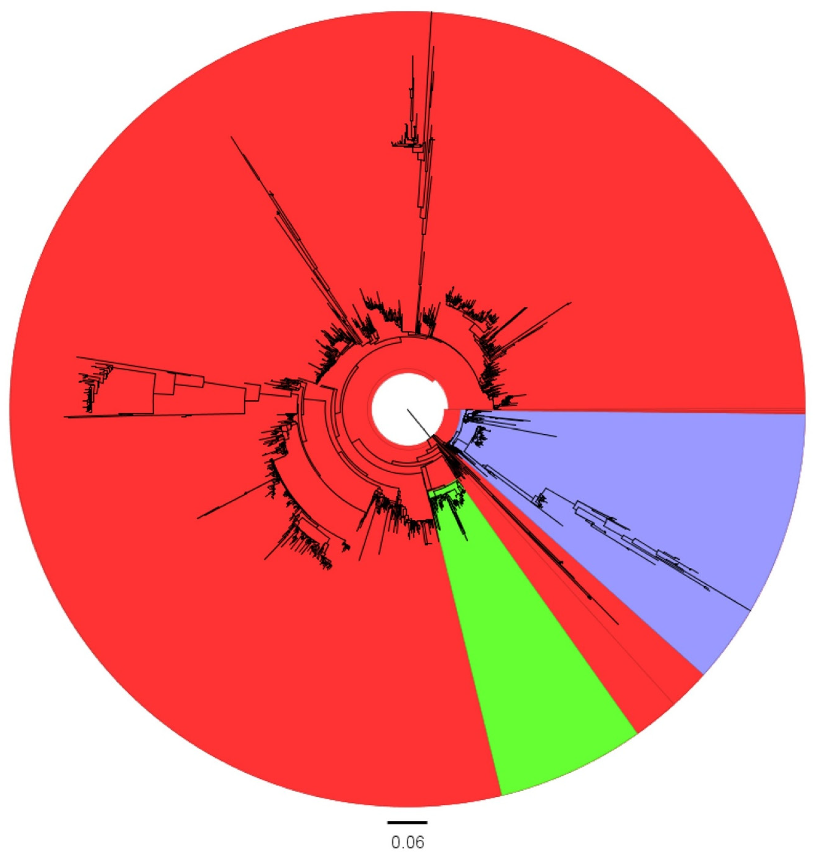 Viruses 16 00481 g001