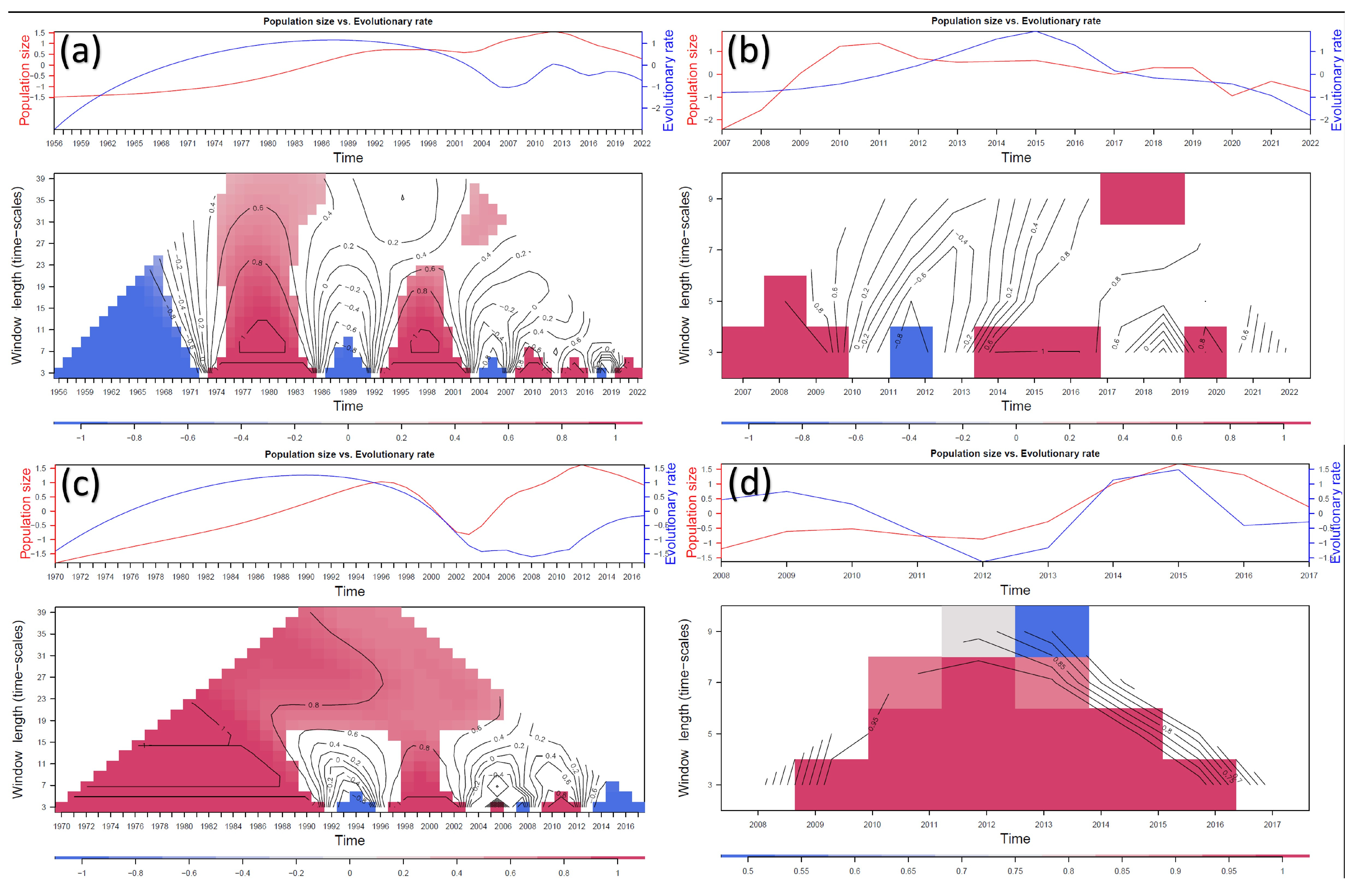 Viruses 16 00481 g004