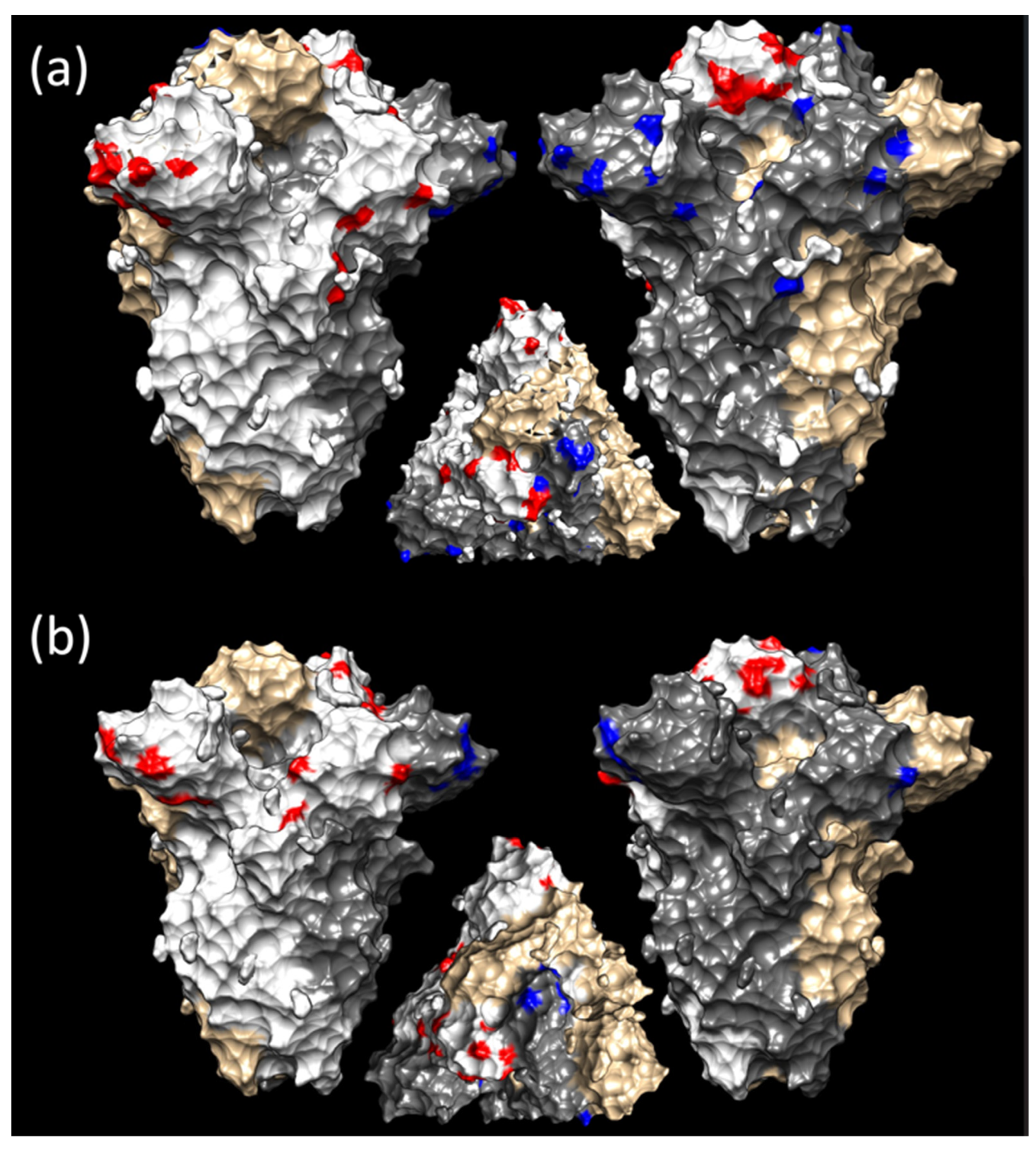 Viruses 16 00481 g005