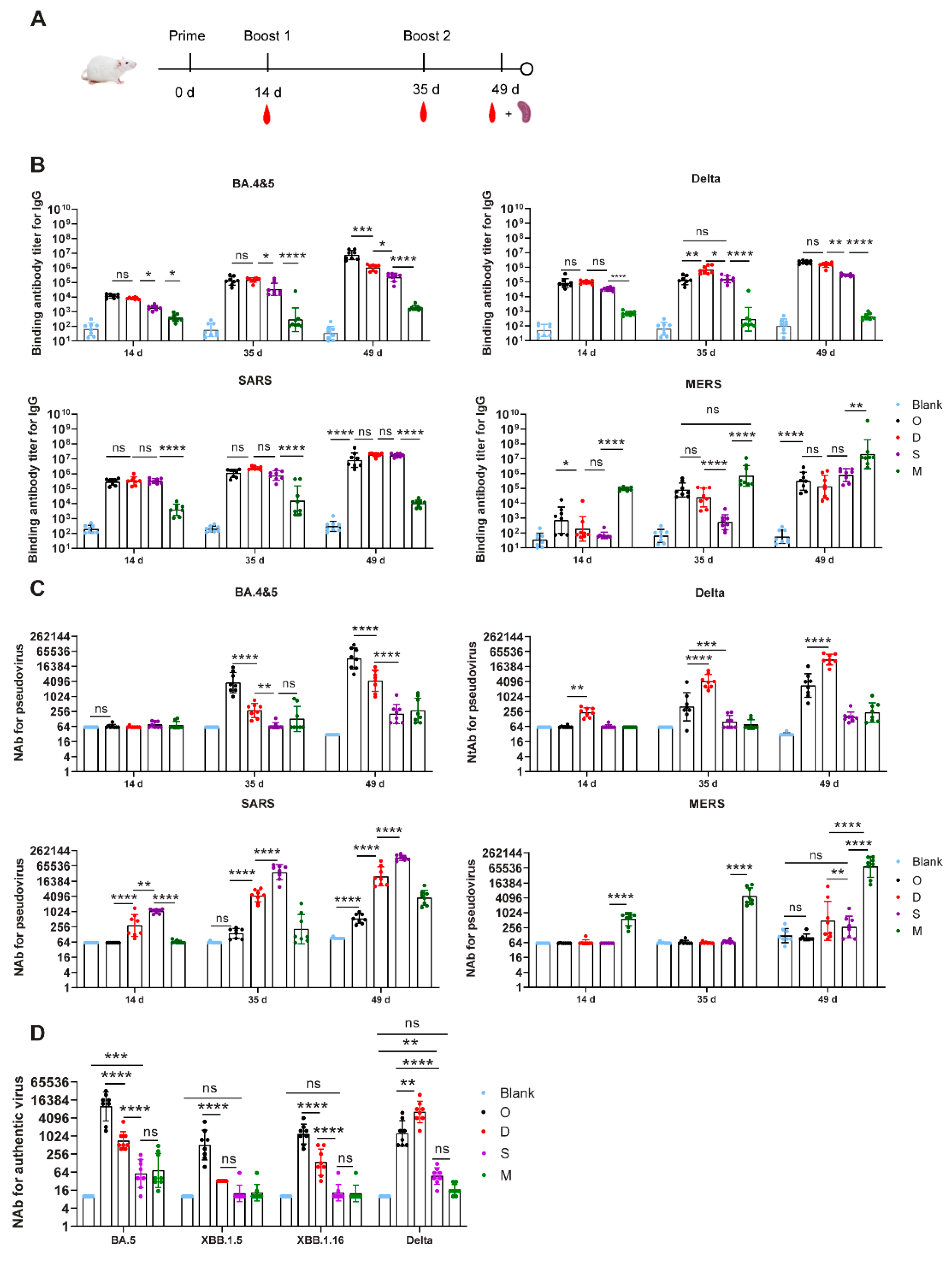 Viruses 16 00484 g002