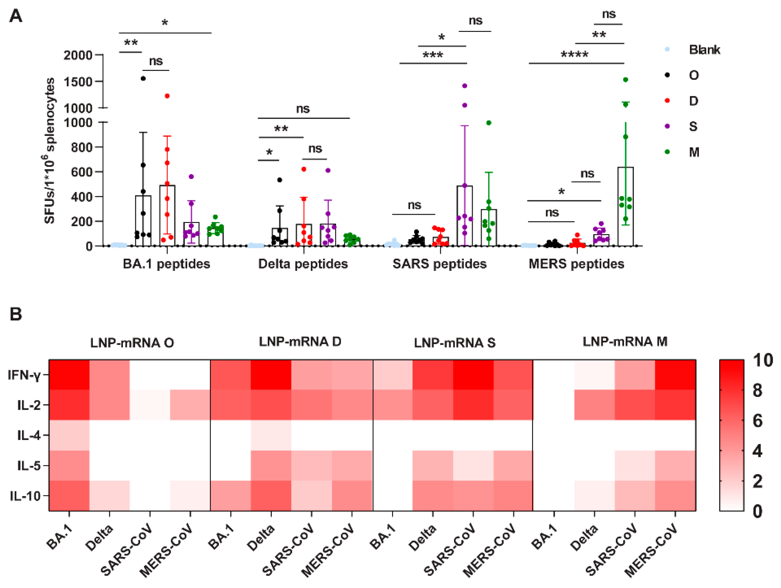 Viruses 16 00484 g003