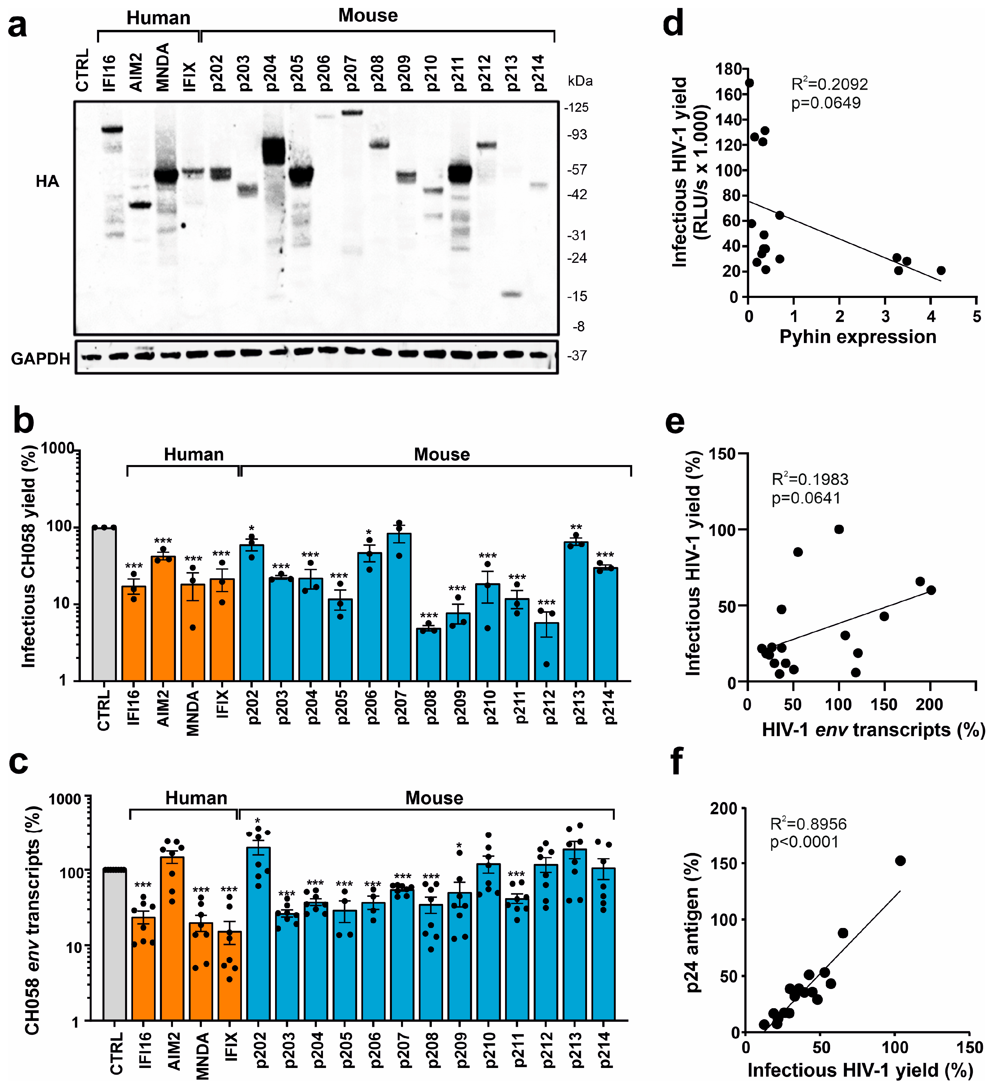 Viruses 16 00493 g003 Viruses 16 00493 g003