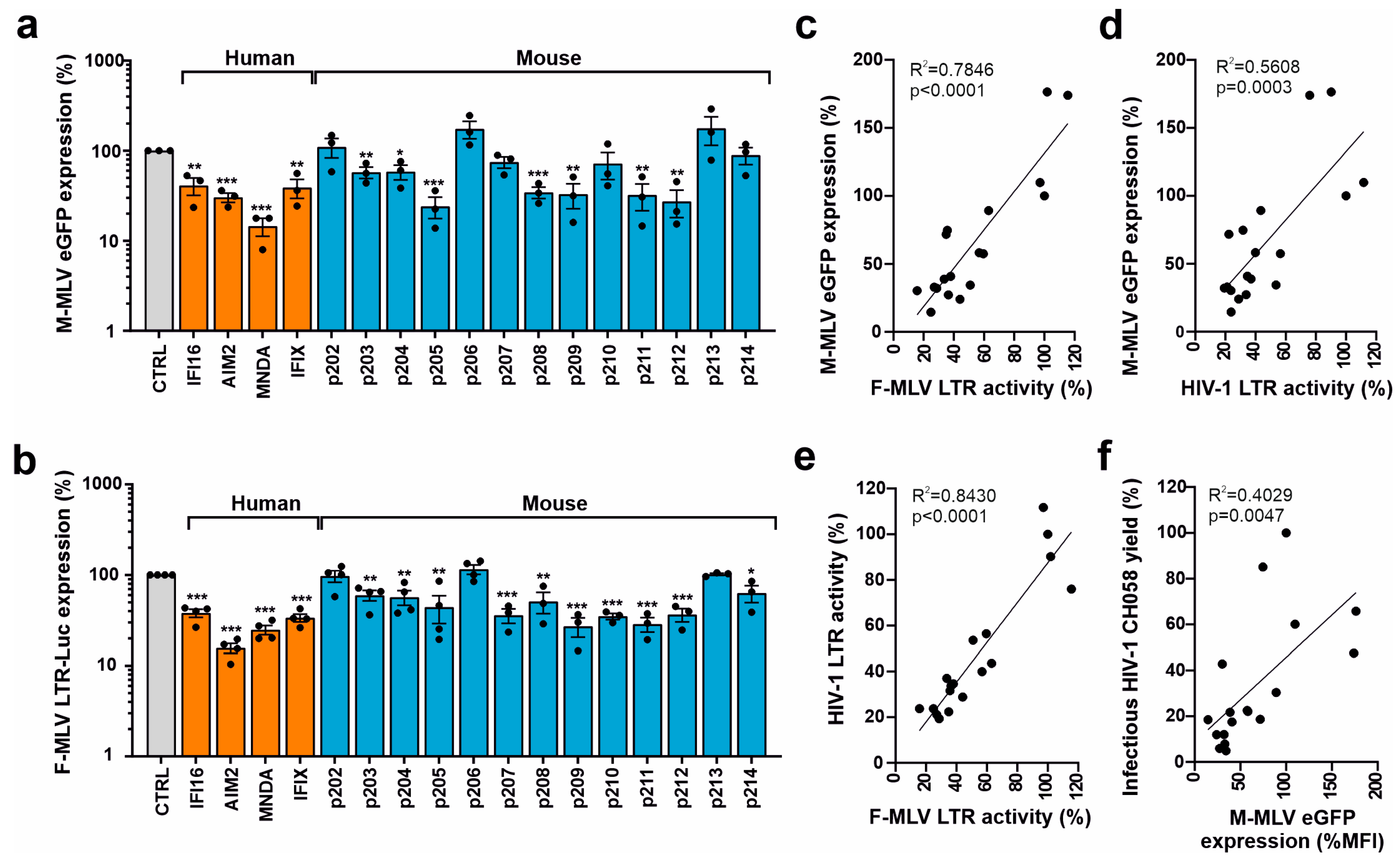 Viruses 16 00493 g005 Viruses 16 00493 g005
