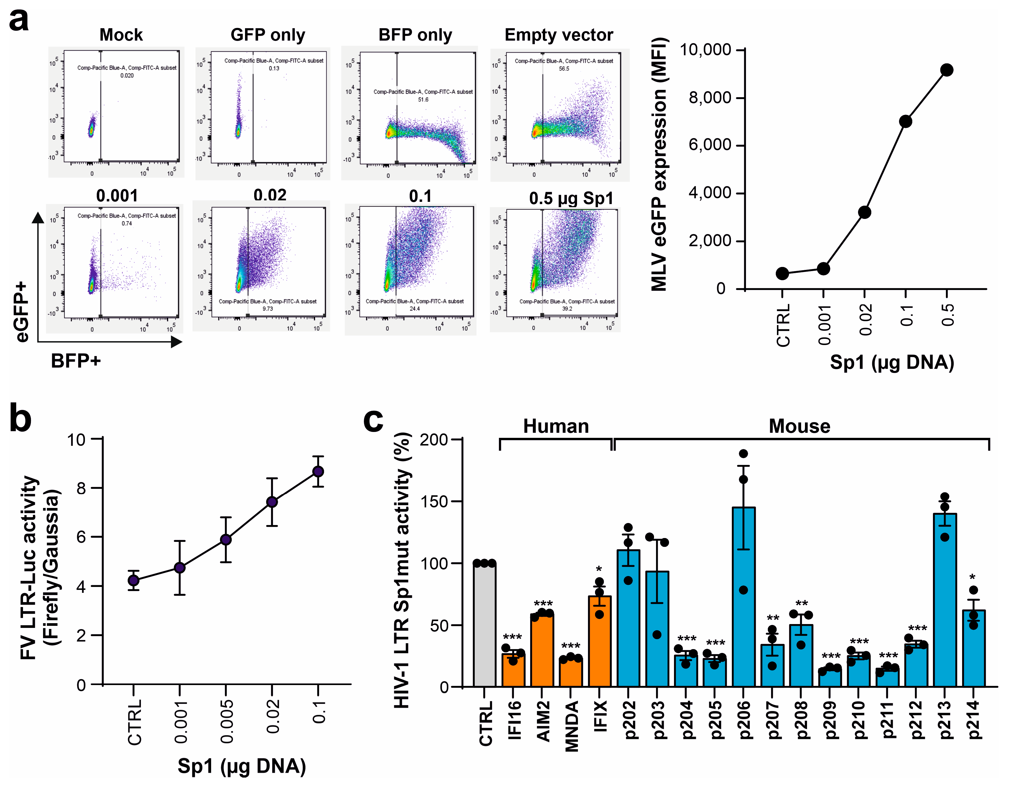 Viruses 16 00493 g006 Viruses 16 00493 g006
