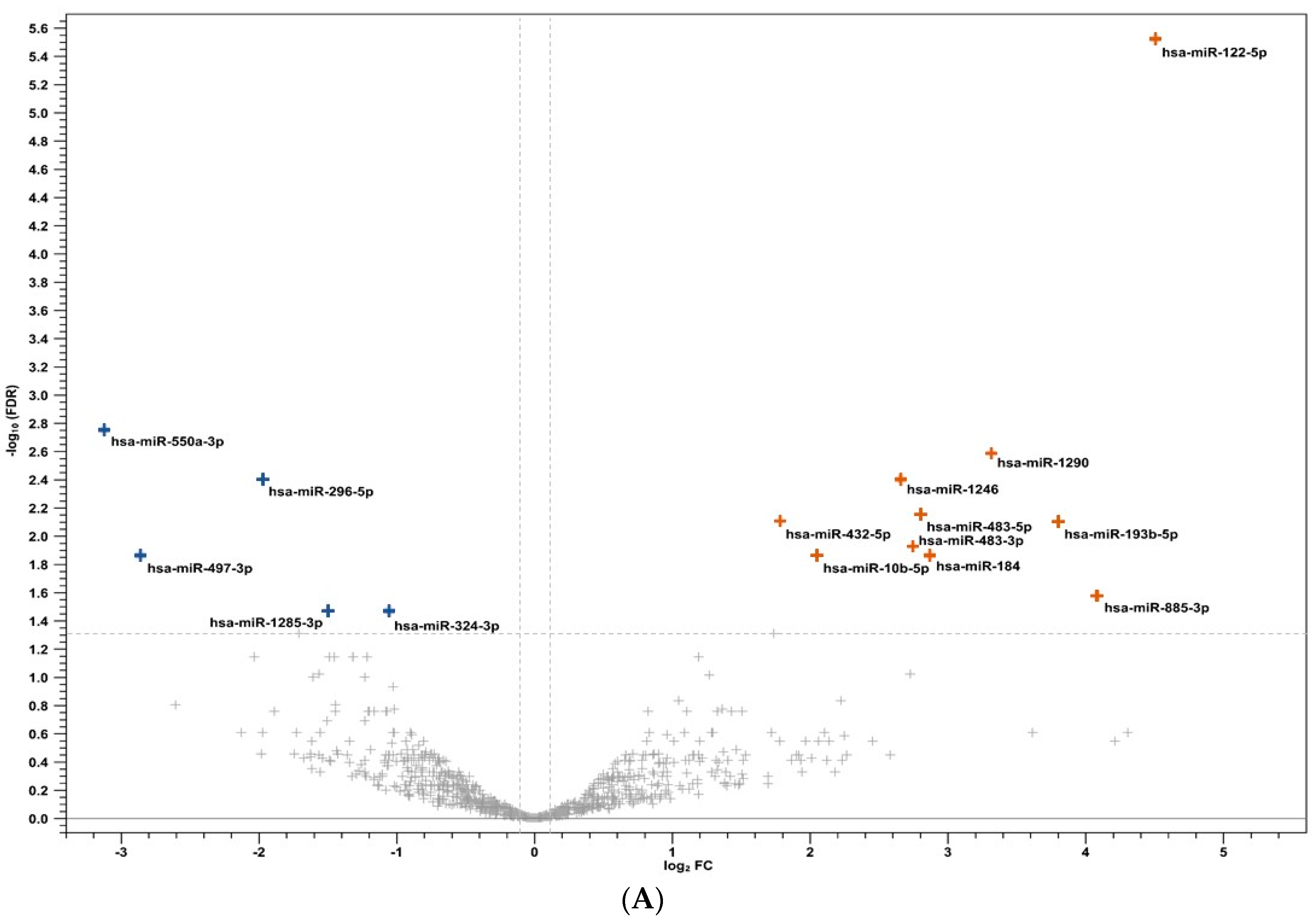 Viruses 16 00496 g001a
