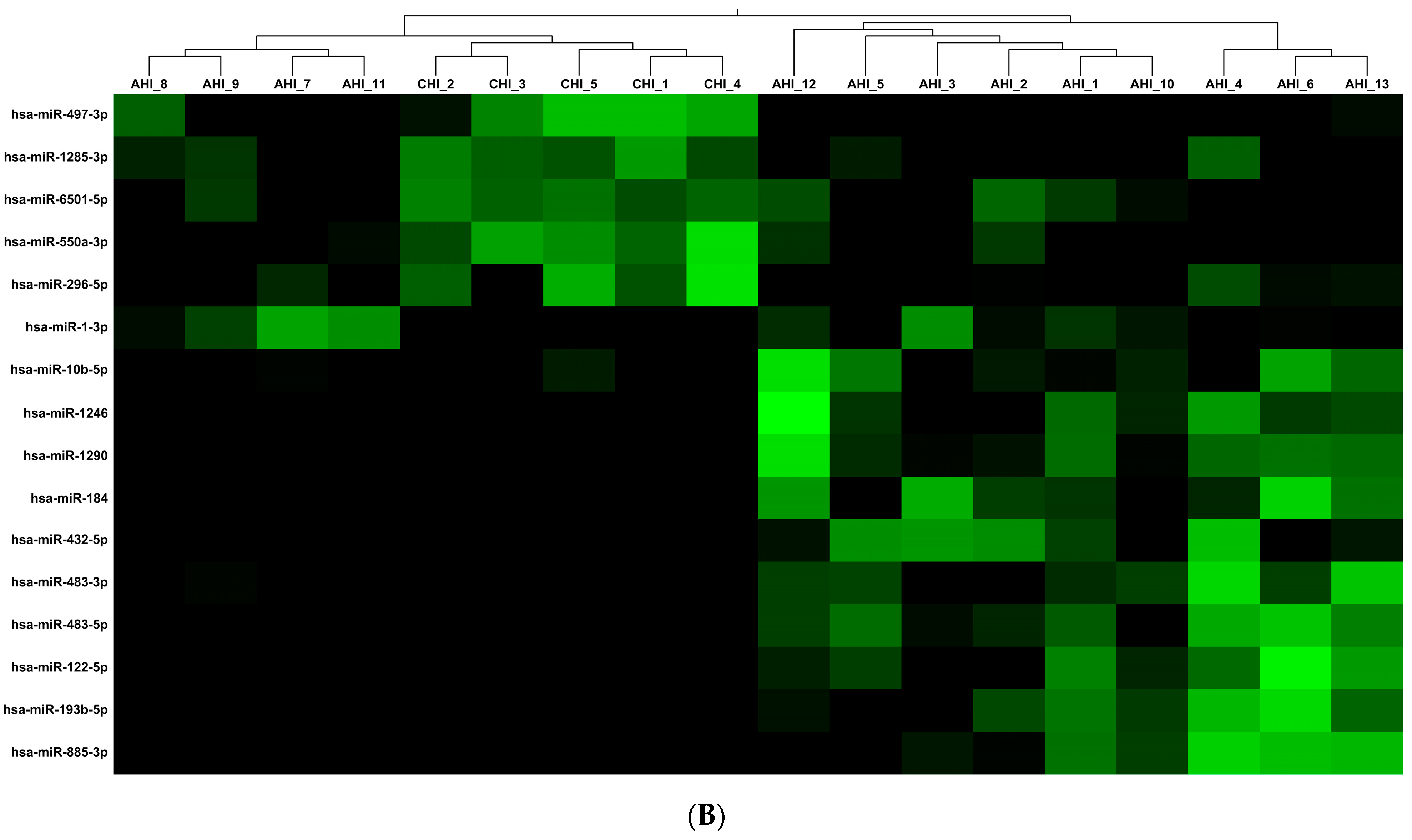 Viruses 16 00496 g001b
