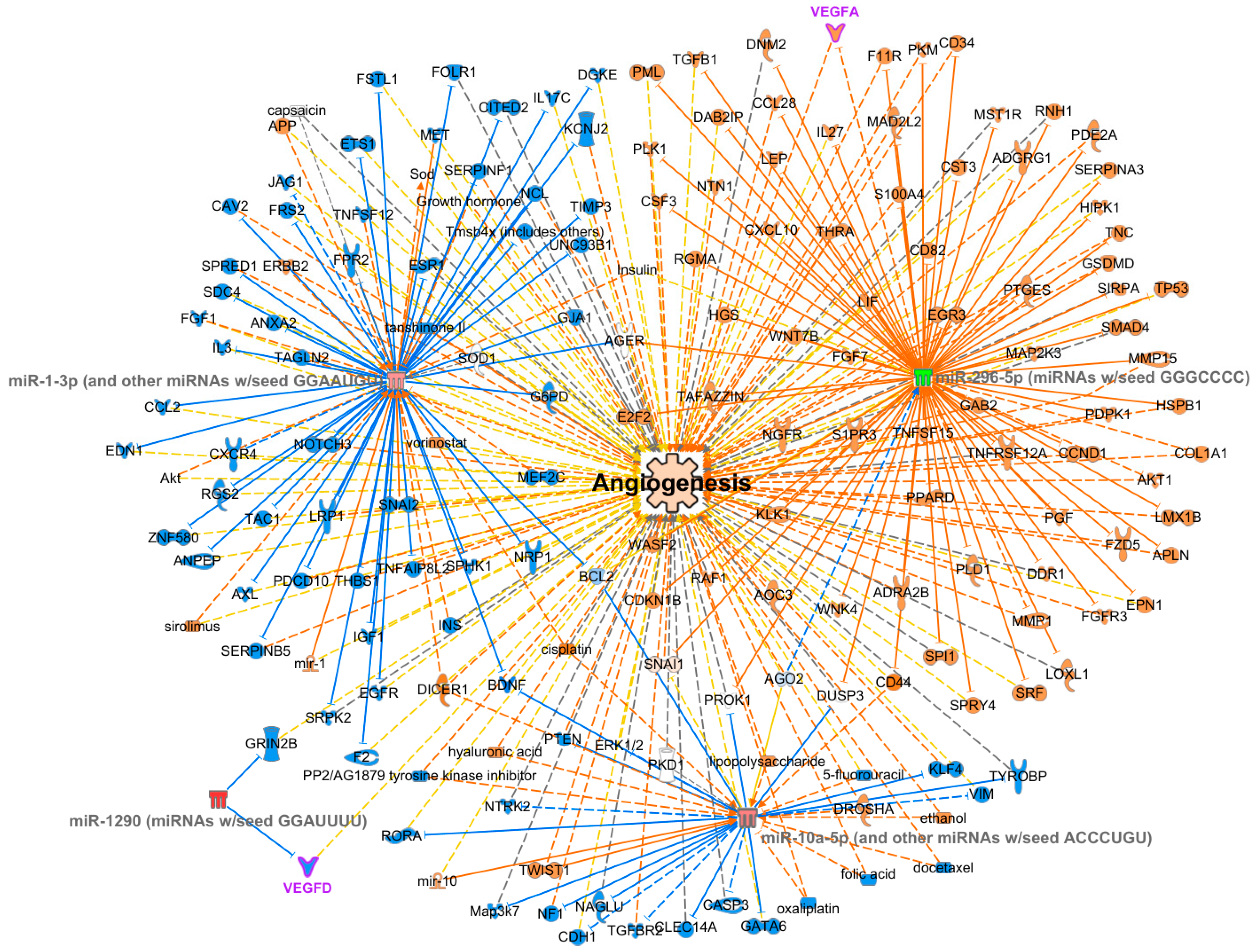 Viruses 16 00496 g002