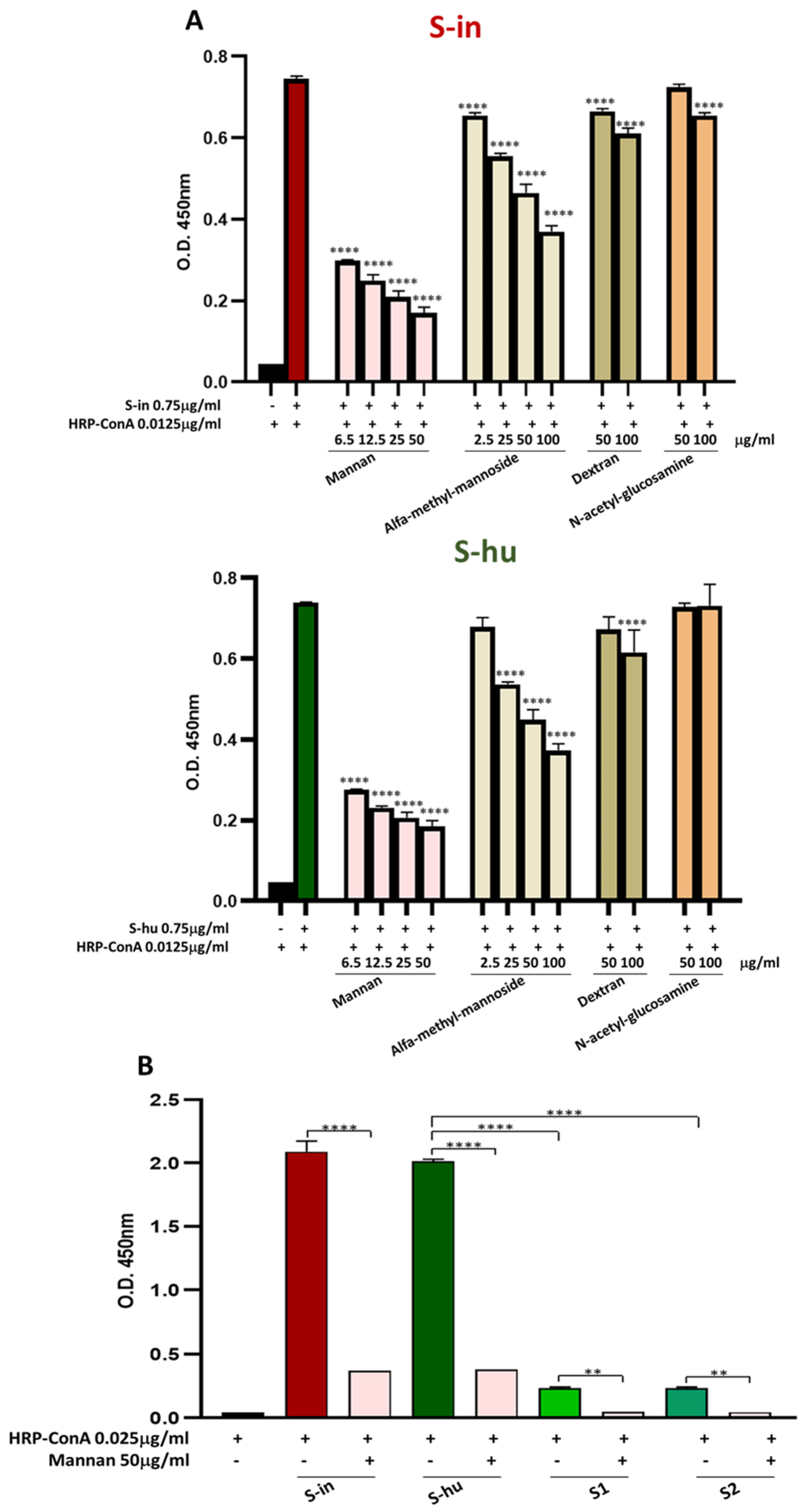 Viruses 16 00497 g001