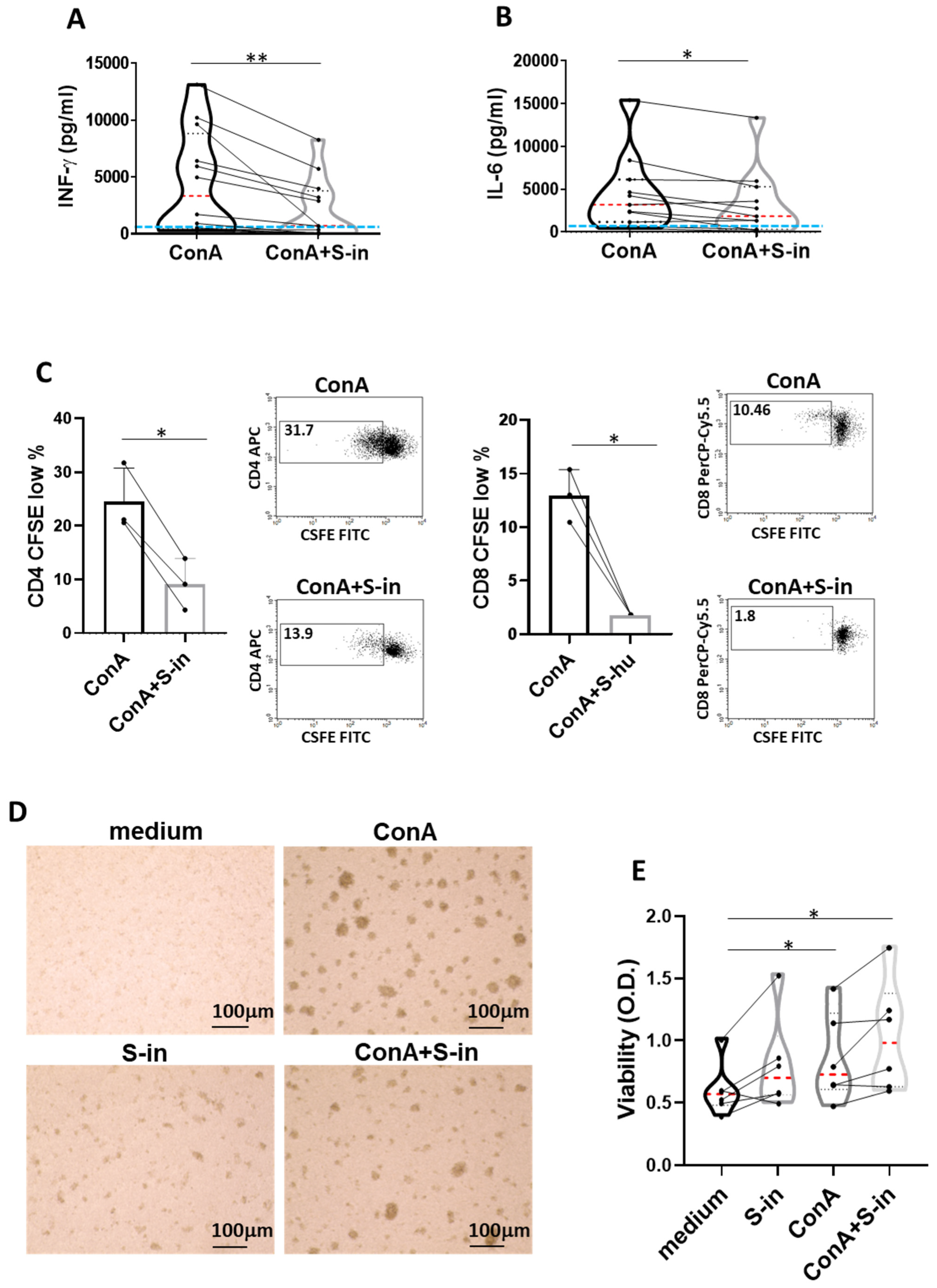 Viruses 16 00497 g002