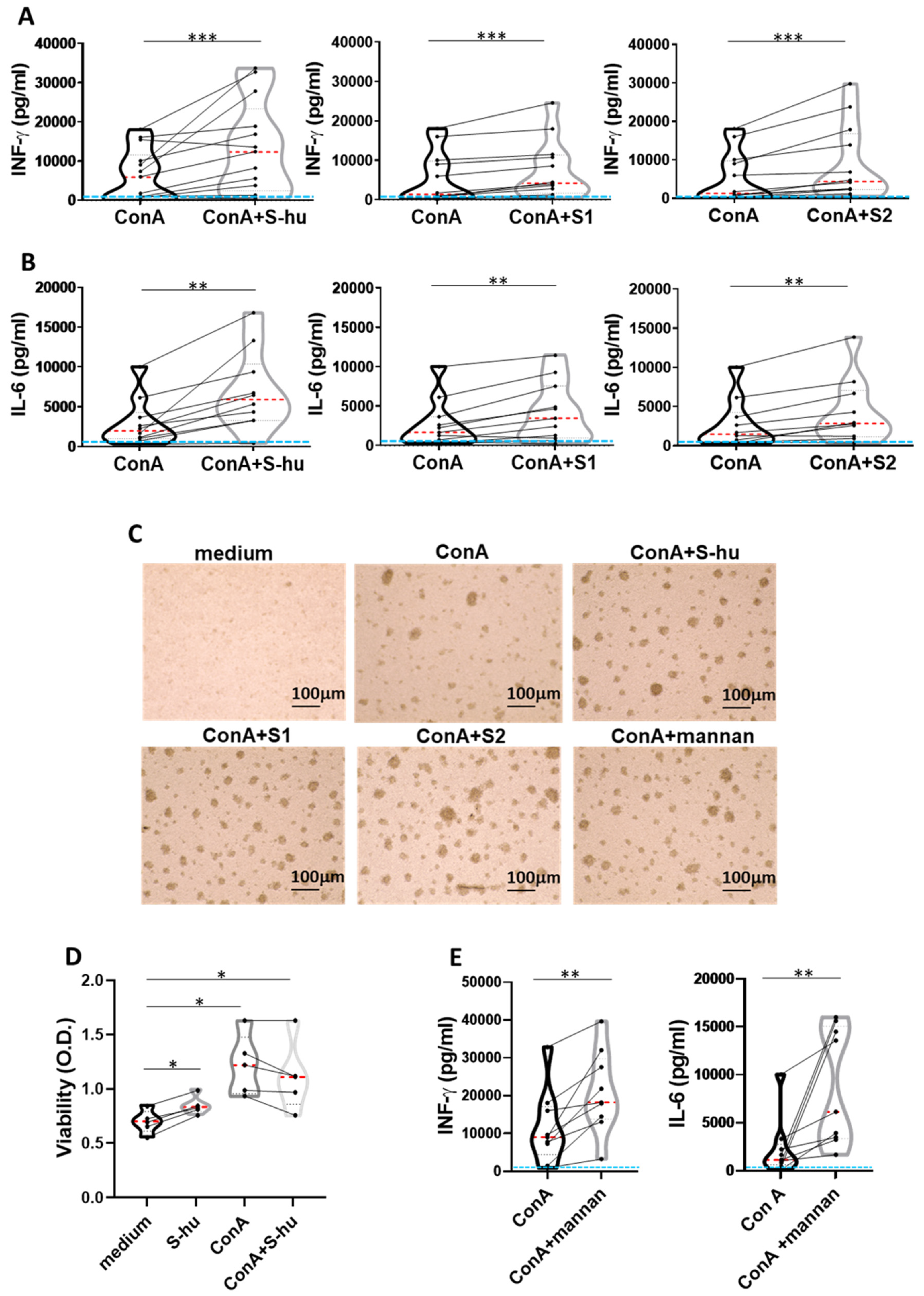 Viruses 16 00497 g003