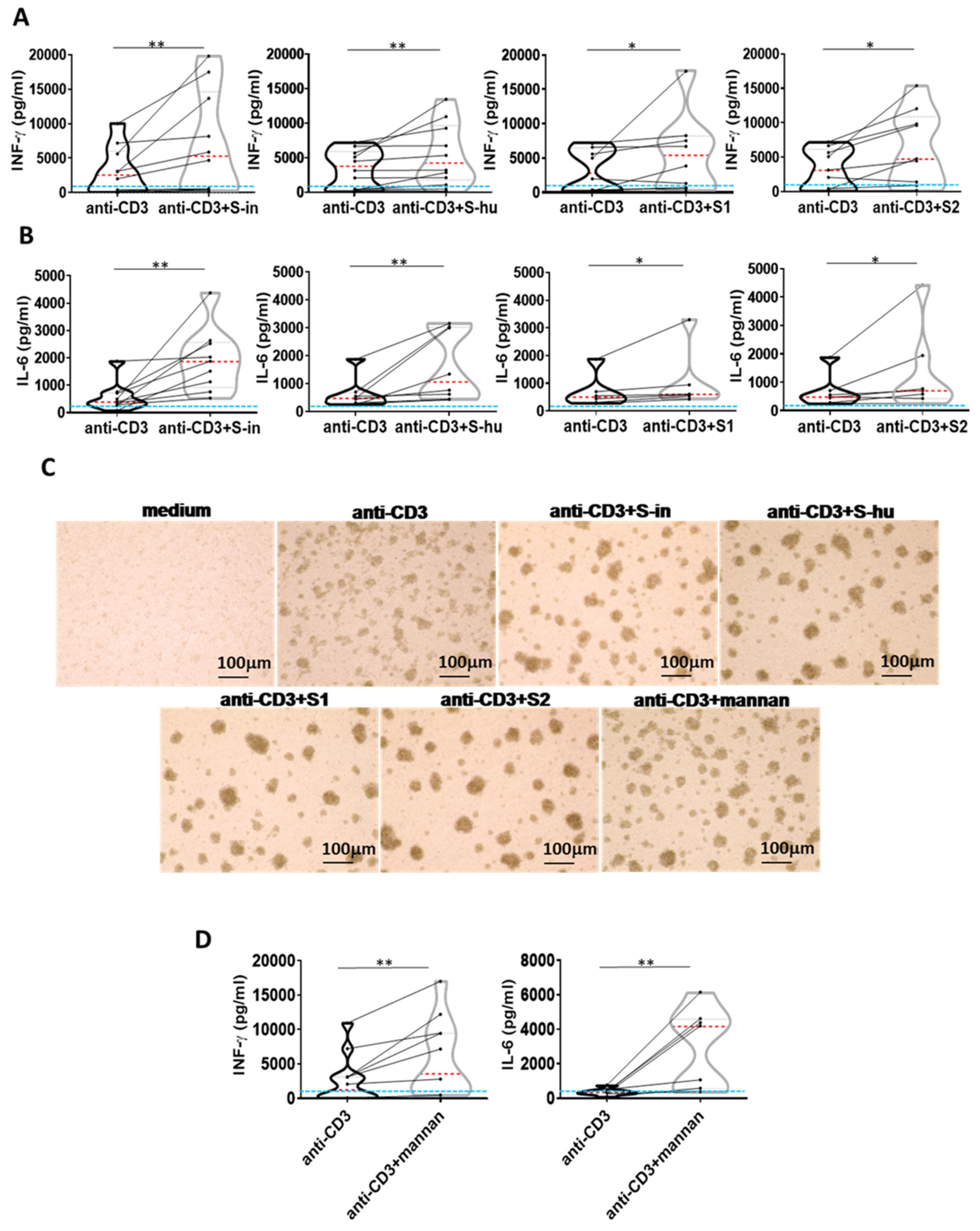 Viruses 16 00497 g004