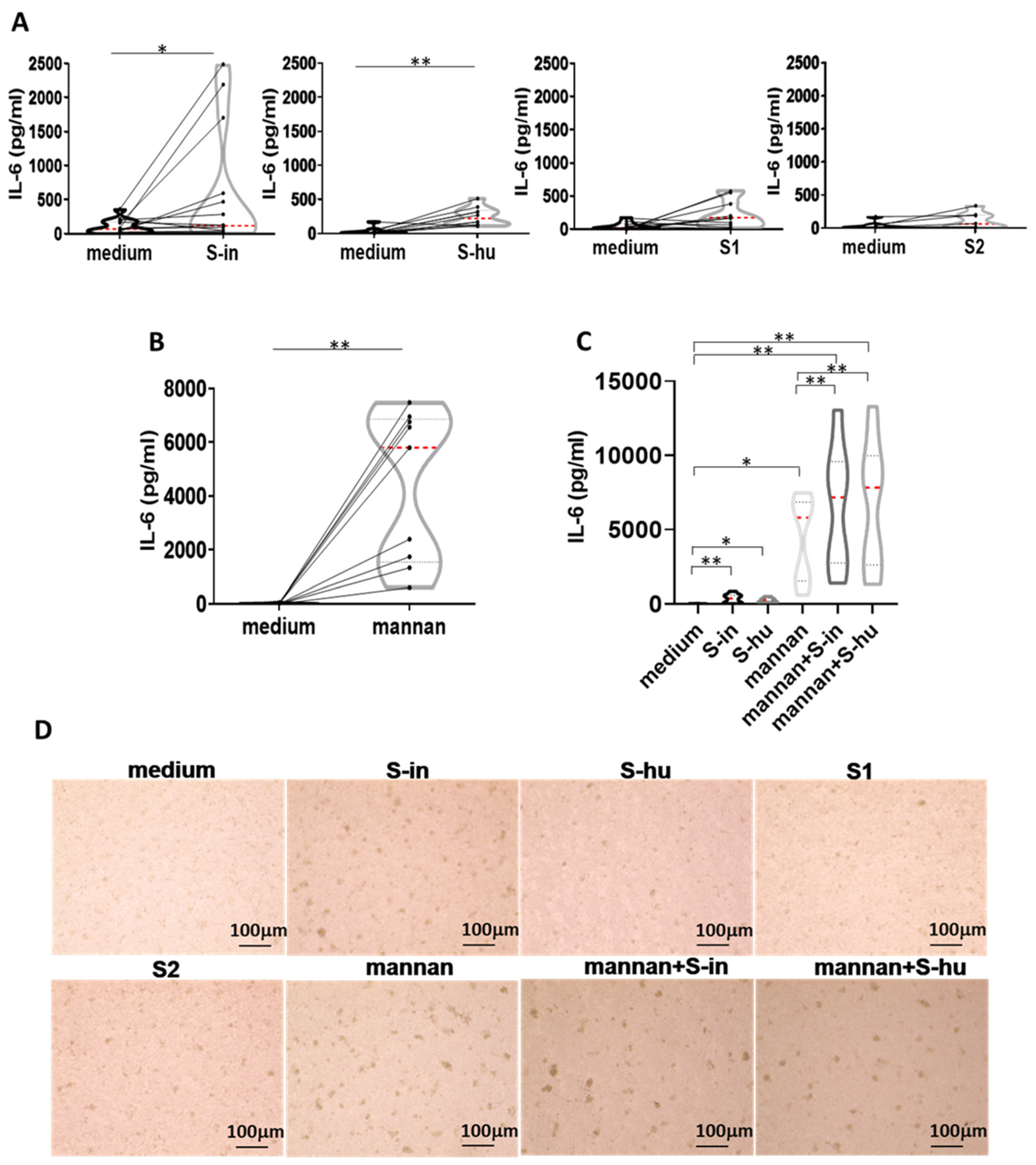 Viruses 16 00497 g006